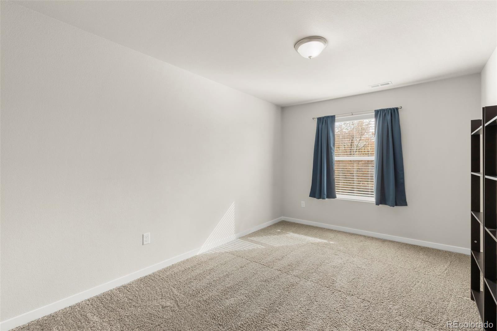 MLS Image #20 for 3994  warthog heights,colorado springs, Colorado