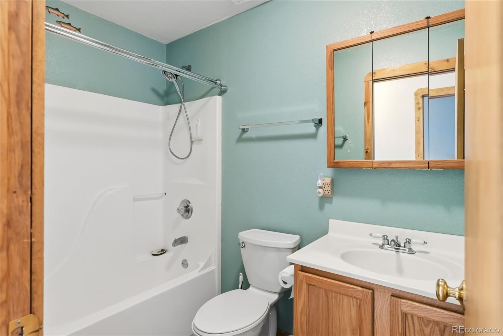 MLS Image #12 for 316  3rd street,fairplay, Colorado