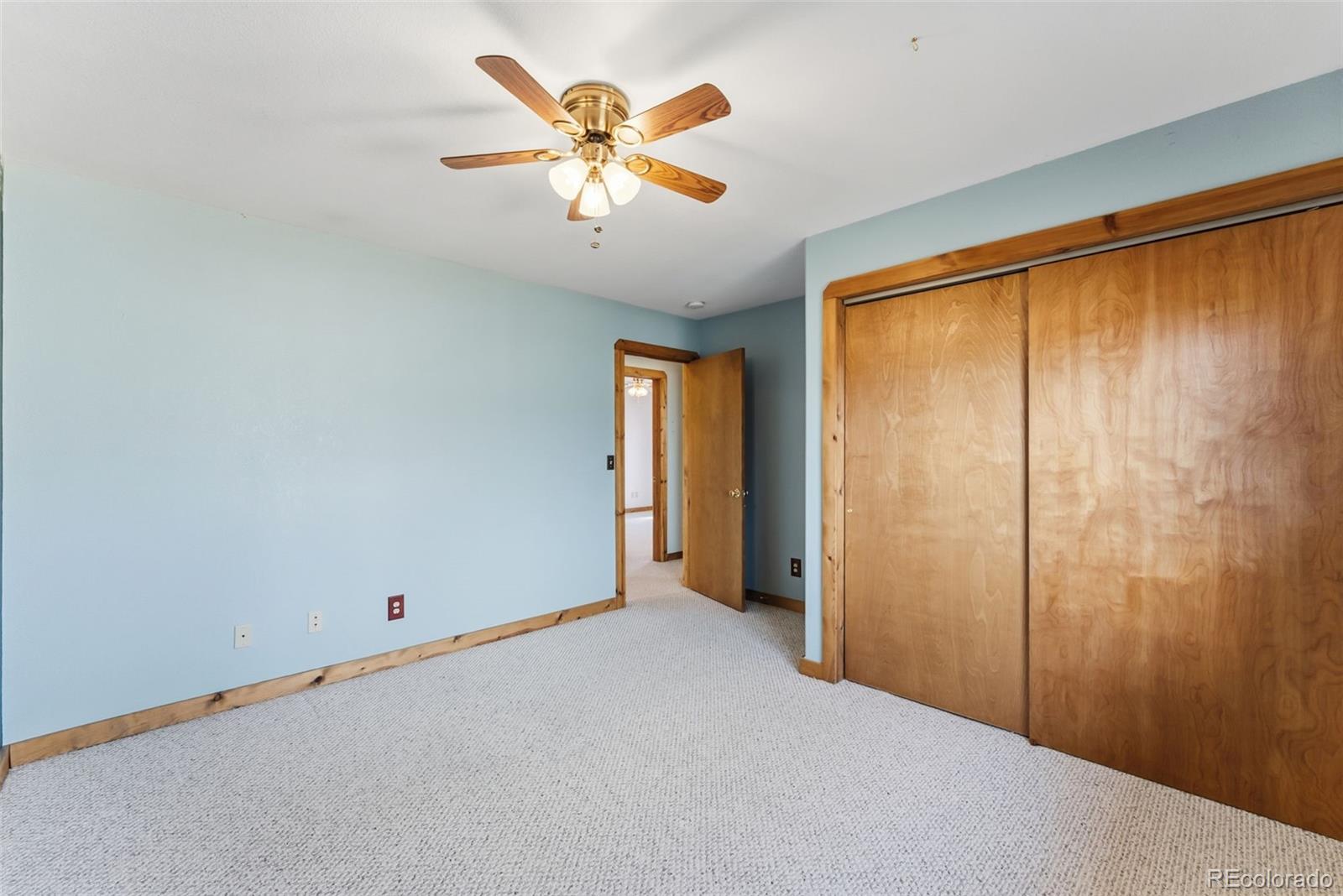 MLS Image #15 for 316  3rd street,fairplay, Colorado