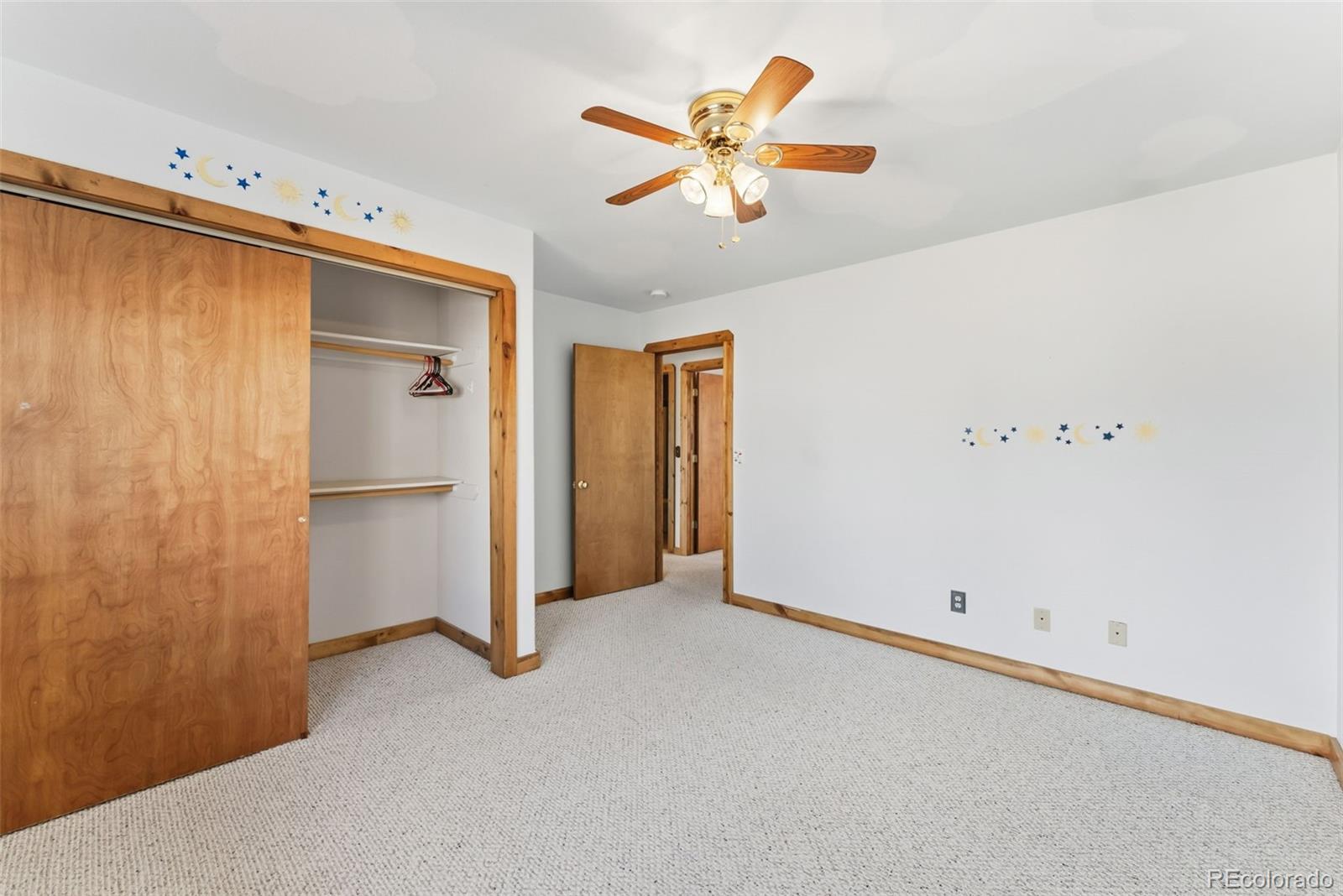MLS Image #23 for 316  3rd street,fairplay, Colorado