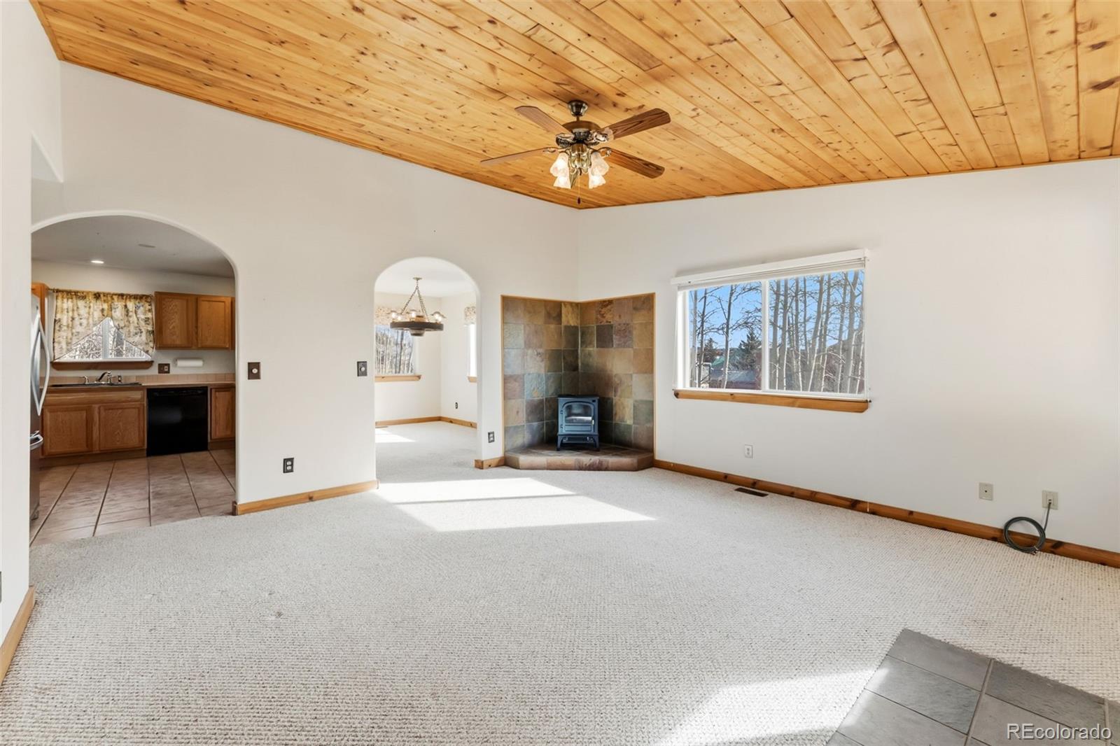 MLS Image #3 for 316  3rd street,fairplay, Colorado