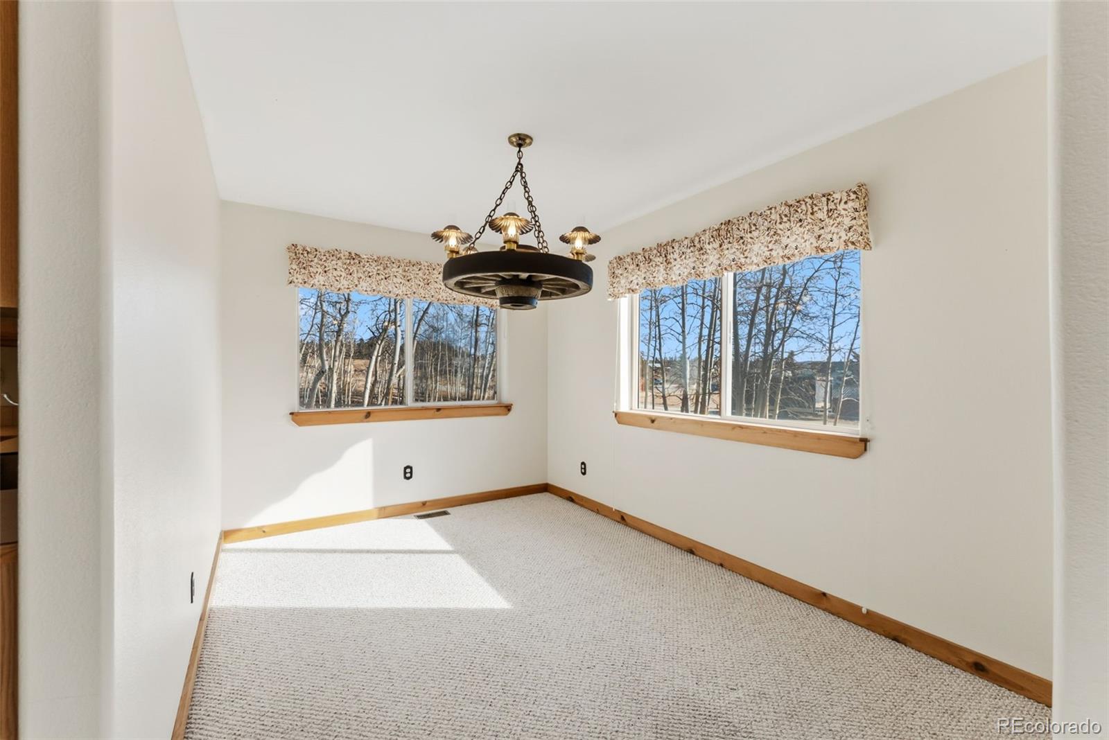MLS Image #5 for 316  3rd street,fairplay, Colorado
