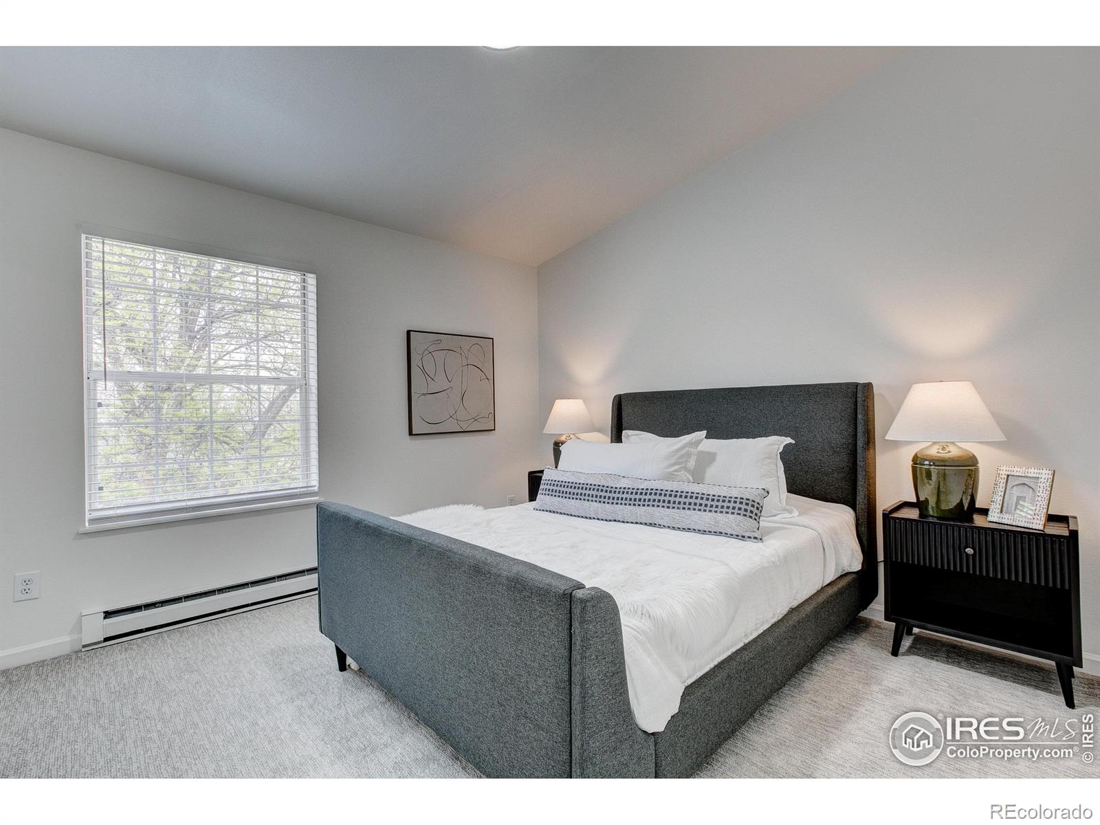 MLS Image #12 for 3200  azalea drive,fort collins, Colorado
