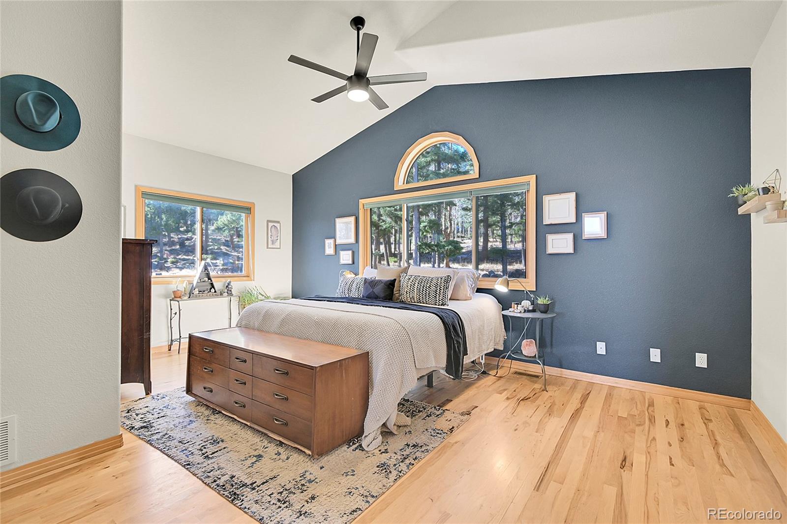 MLS Image #11 for 13382  riley peak road,conifer, Colorado