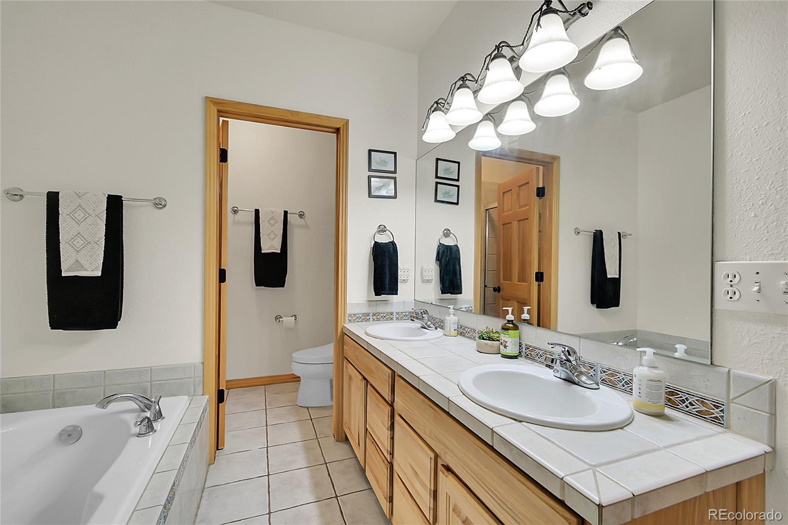 MLS Image #13 for 13382  riley peak road,conifer, Colorado