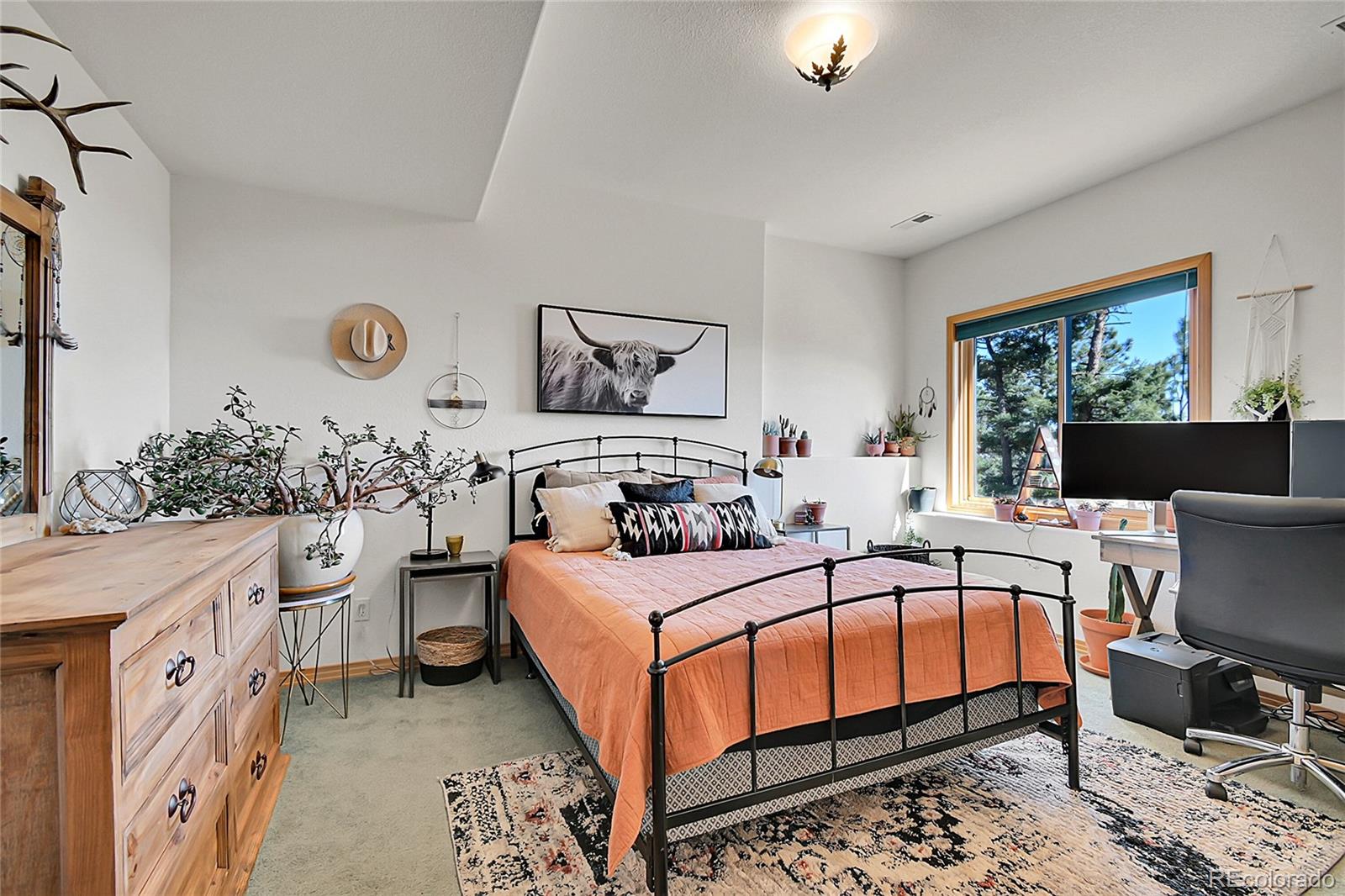 MLS Image #14 for 13382  riley peak road,conifer, Colorado
