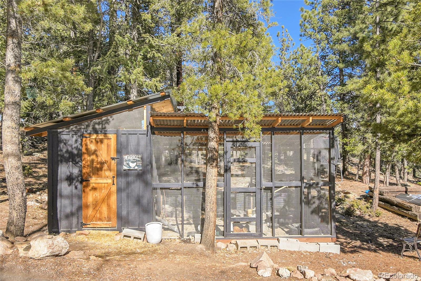 MLS Image #19 for 13382  riley peak road,conifer, Colorado