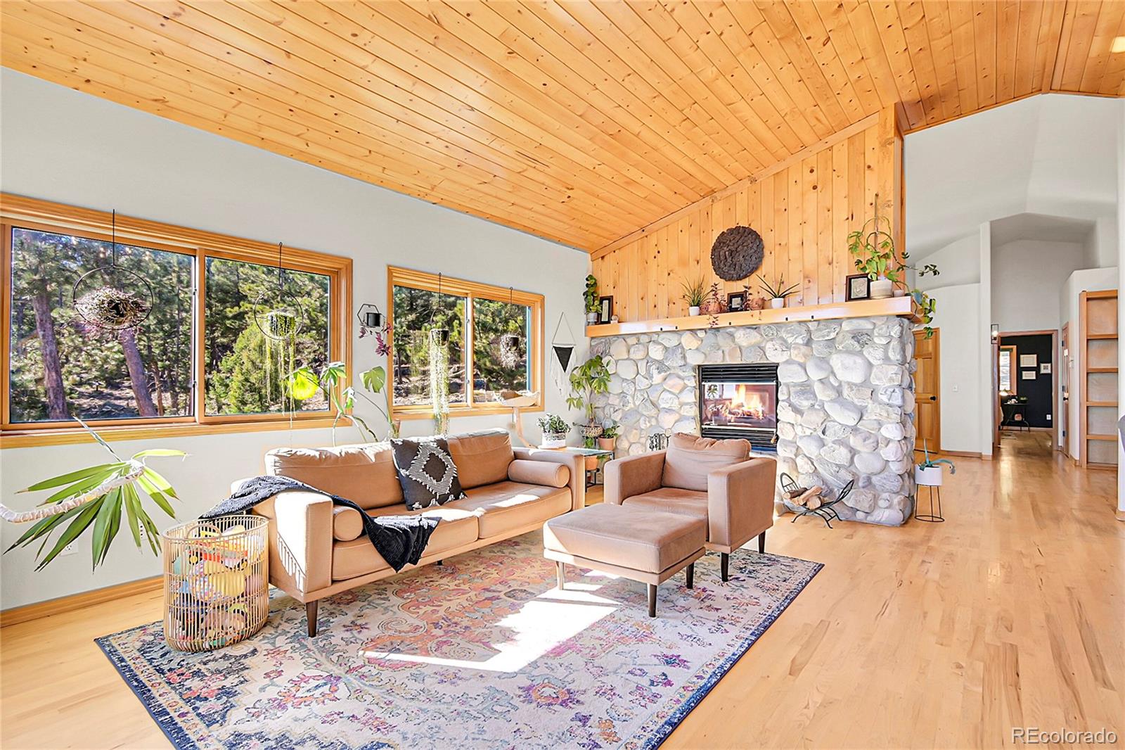 MLS Image #4 for 13382  riley peak road,conifer, Colorado