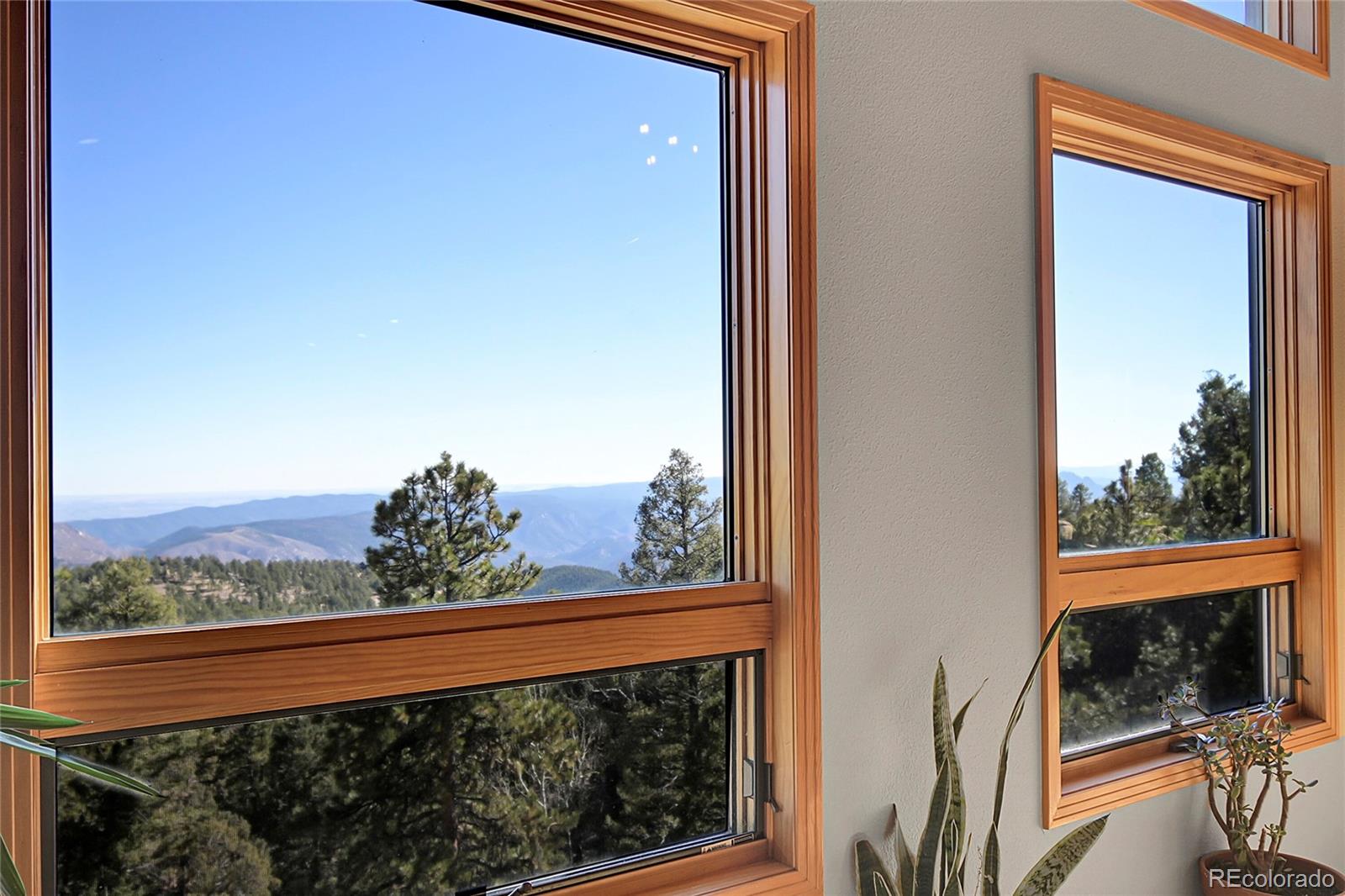MLS Image #6 for 13382  riley peak road,conifer, Colorado