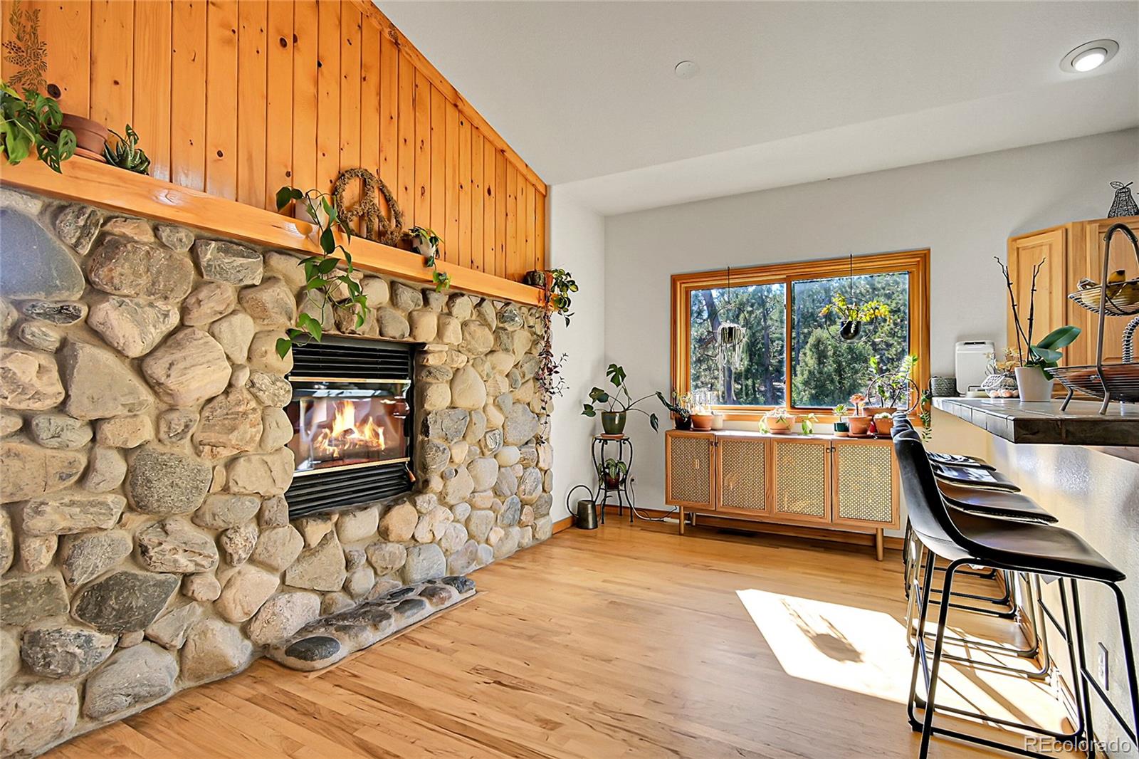 MLS Image #7 for 13382  riley peak road,conifer, Colorado