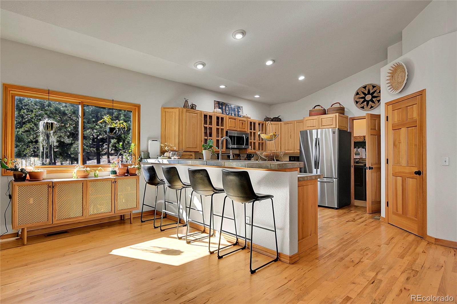 MLS Image #8 for 13382  riley peak road,conifer, Colorado