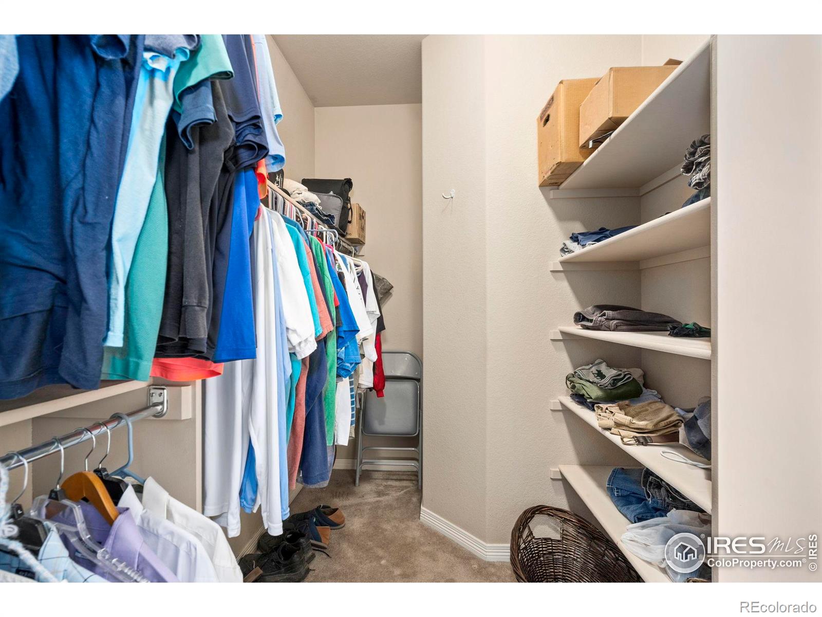 MLS Image #20 for 7414  ladbroke drive,windsor, Colorado