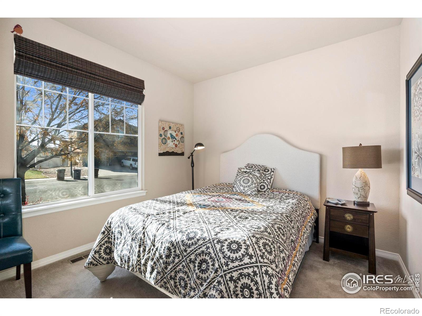 MLS Image #21 for 7414  ladbroke drive,windsor, Colorado
