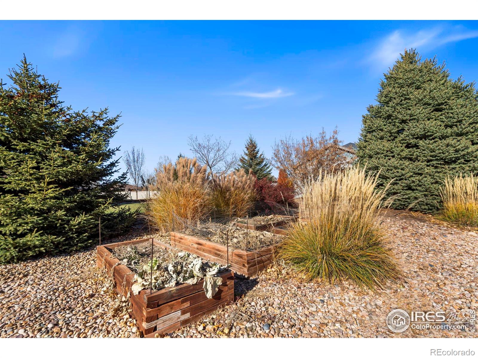 MLS Image #30 for 7414  ladbroke drive,windsor, Colorado