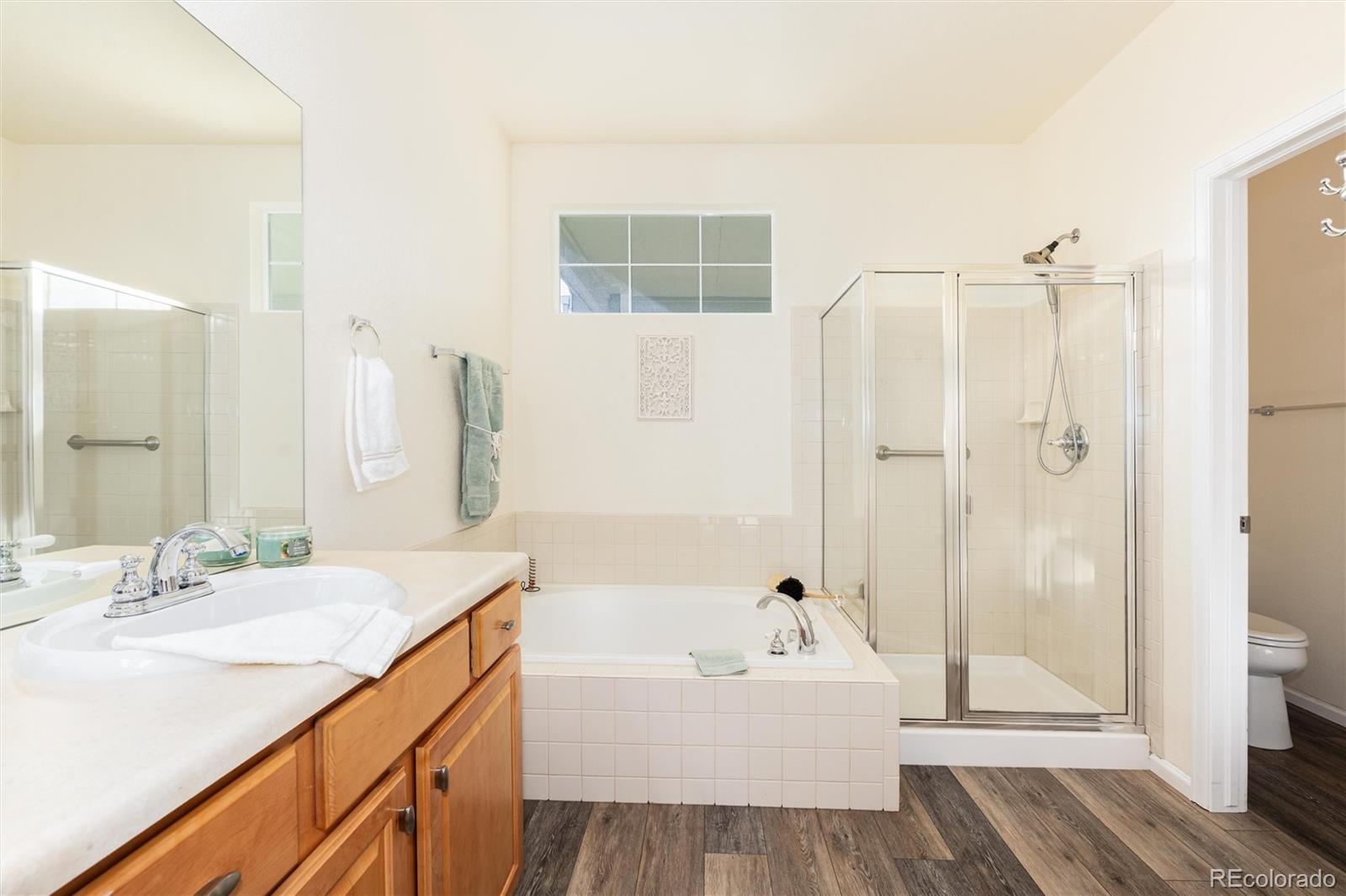 MLS Image #23 for 11684  blackmoor street,parker, Colorado