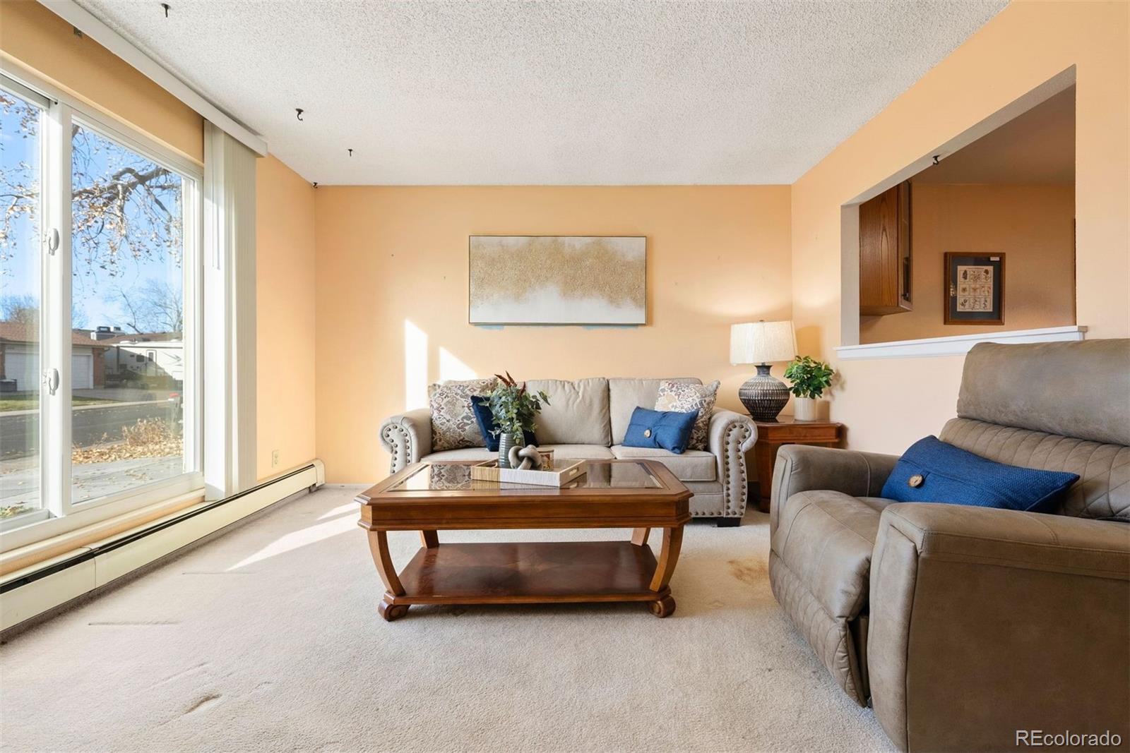 MLS Image #3 for 10899  grange creek drive,thornton, Colorado