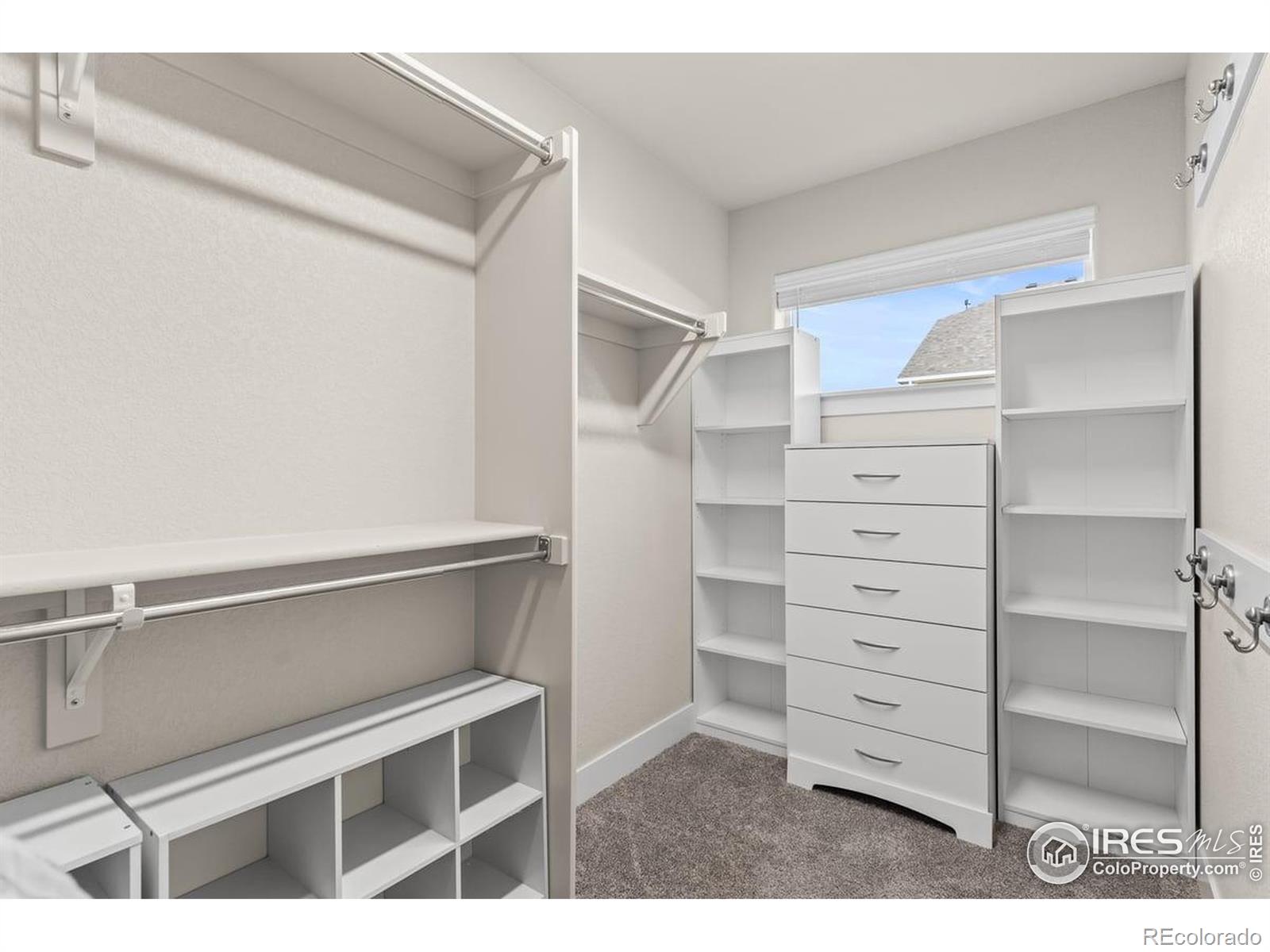 MLS Image #27 for 8894  forest street,firestone, Colorado