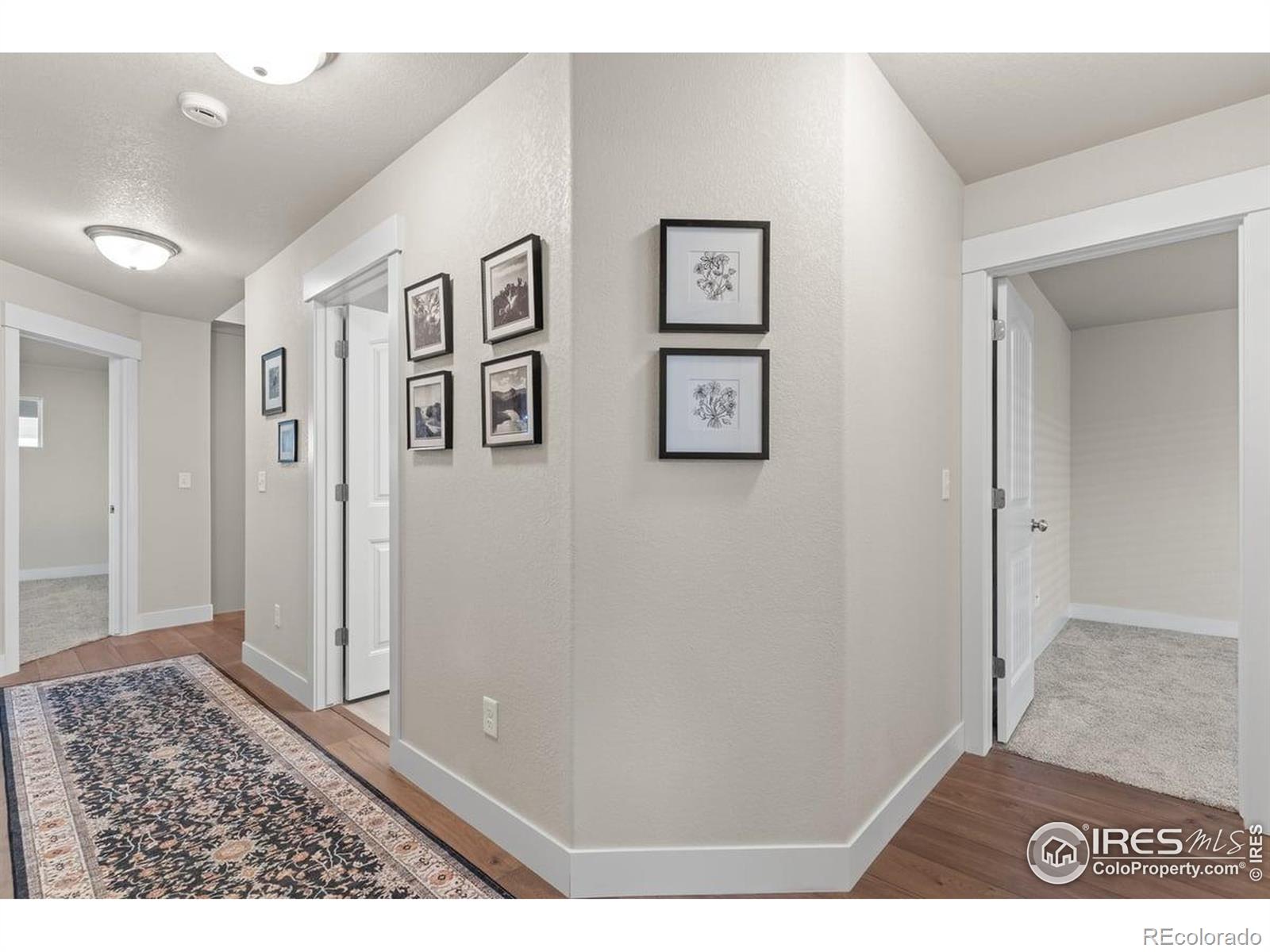 MLS Image #28 for 8894  forest street,firestone, Colorado