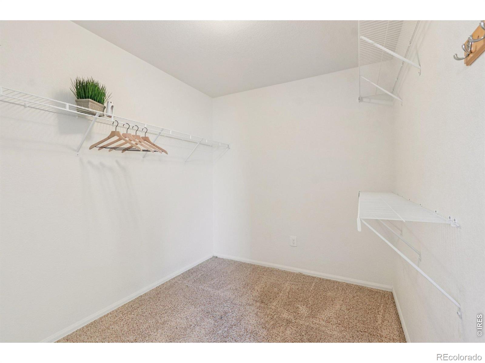 MLS Image #20 for 4815  laporte avenue,loveland, Colorado