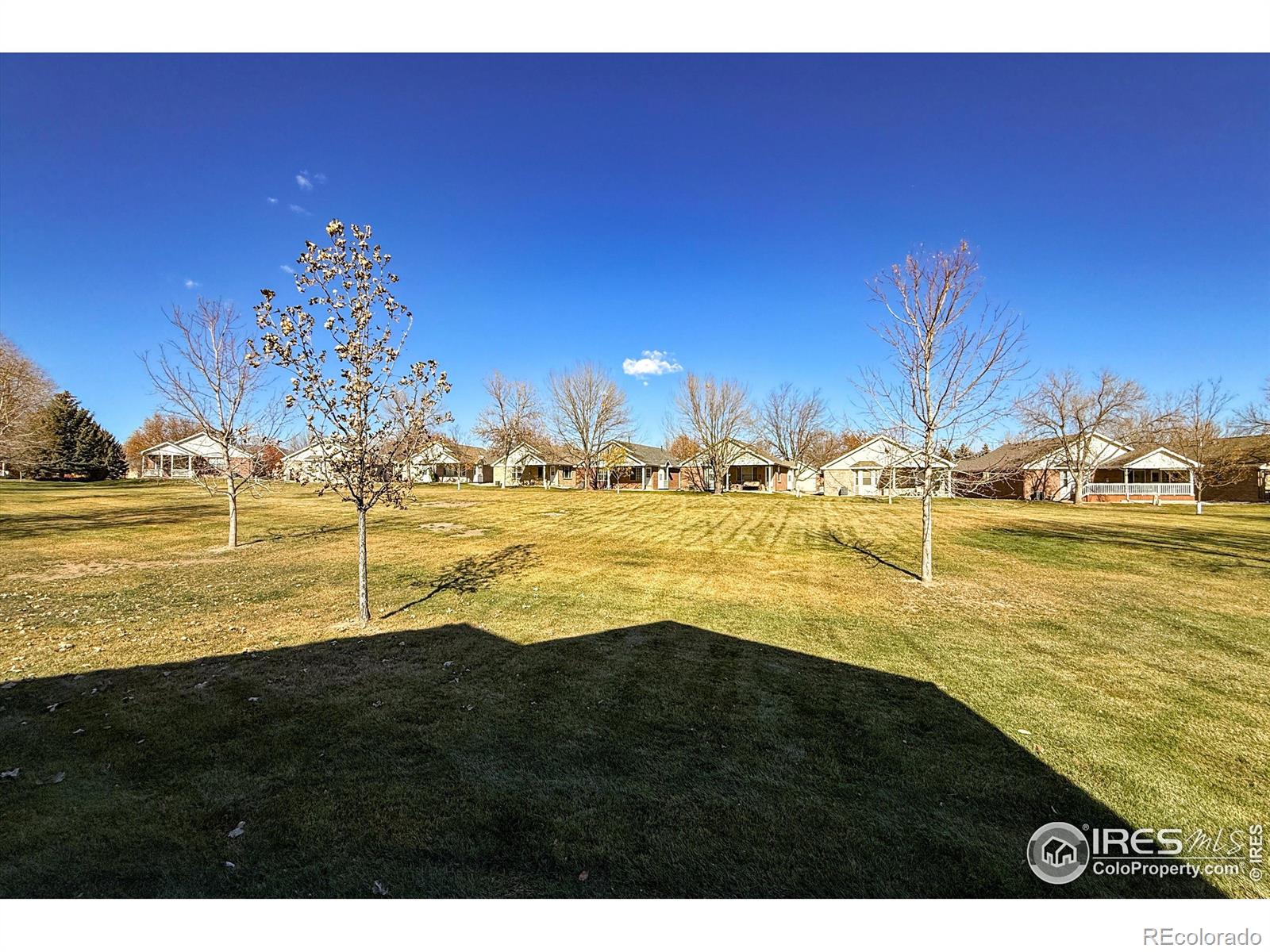 MLS Image #21 for 2351  lawson drive,loveland, Colorado