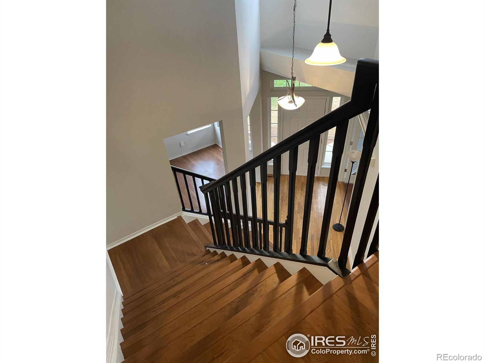 MLS Image #12 for 613  rider ridge drive,longmont, Colorado