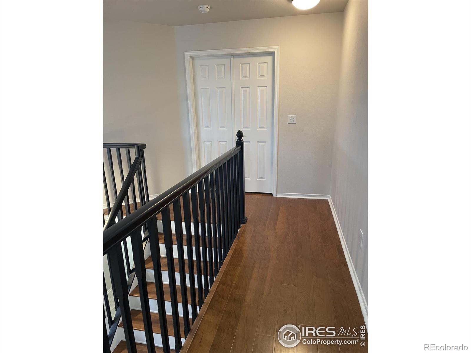 MLS Image #13 for 613  rider ridge drive,longmont, Colorado
