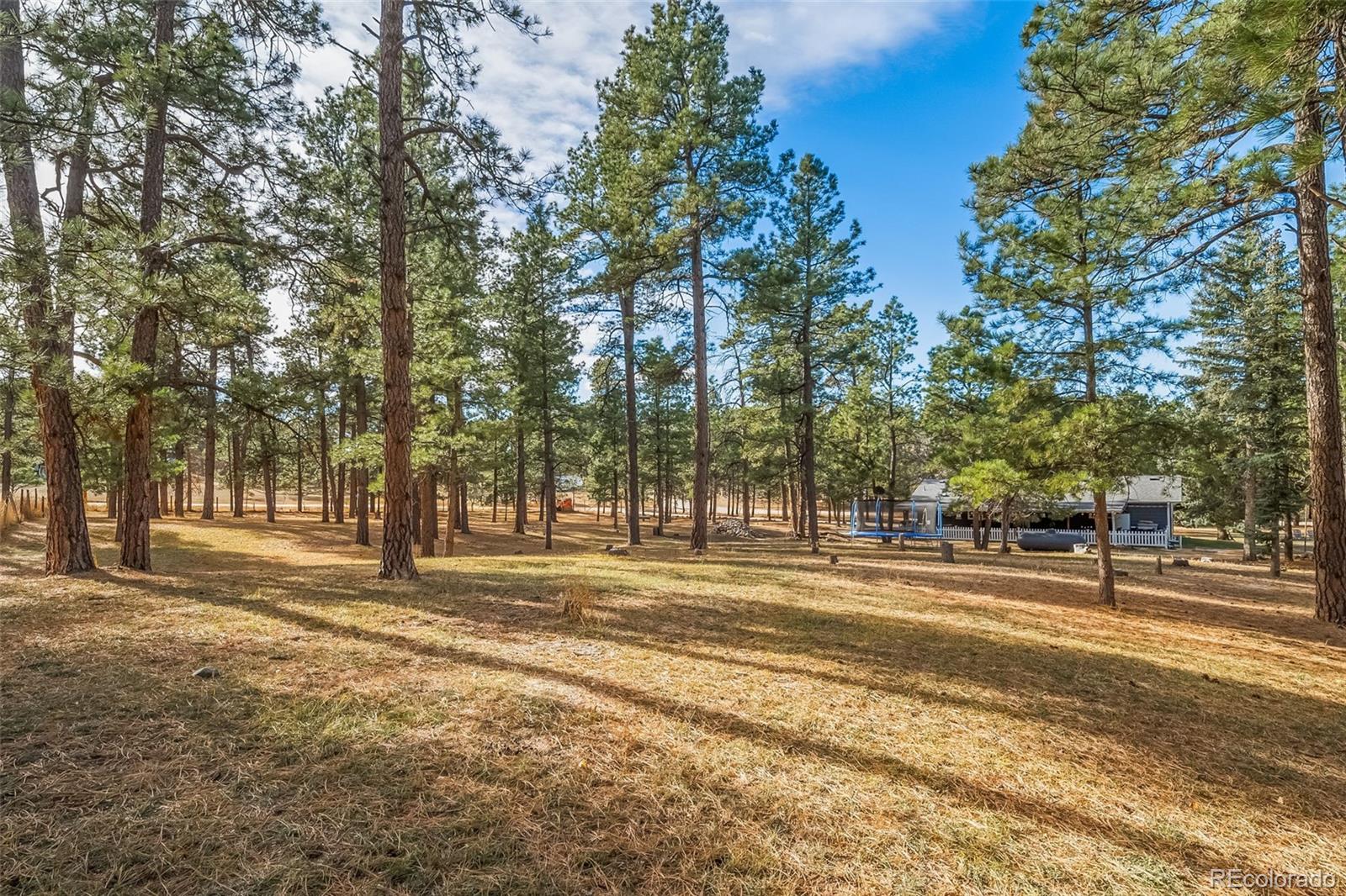 MLS Image #45 for 34172  pine ridge circle,elizabeth, Colorado