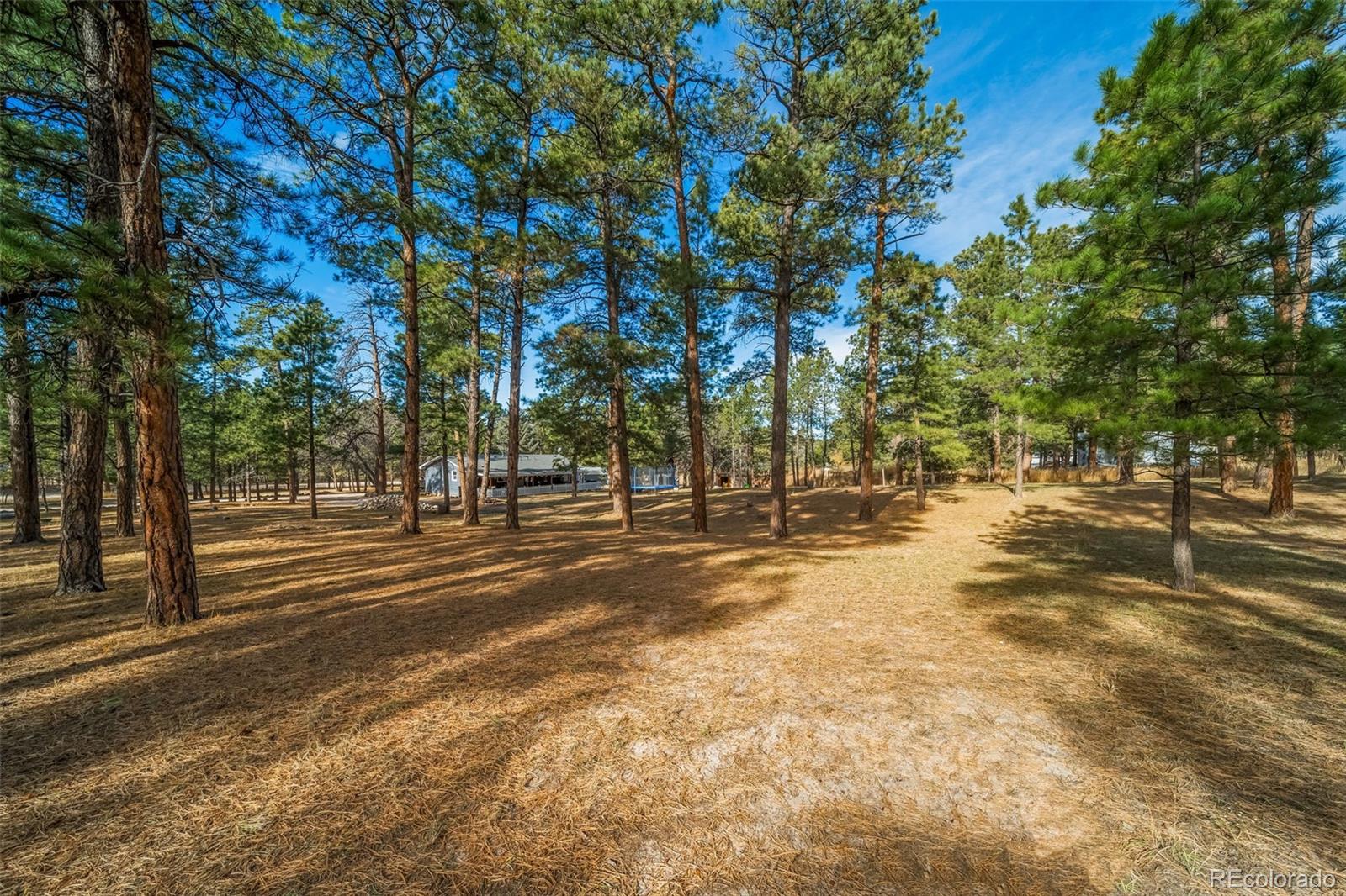 MLS Image #46 for 34172  pine ridge circle,elizabeth, Colorado