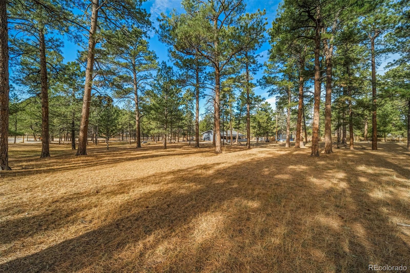MLS Image #47 for 34172  pine ridge circle,elizabeth, Colorado