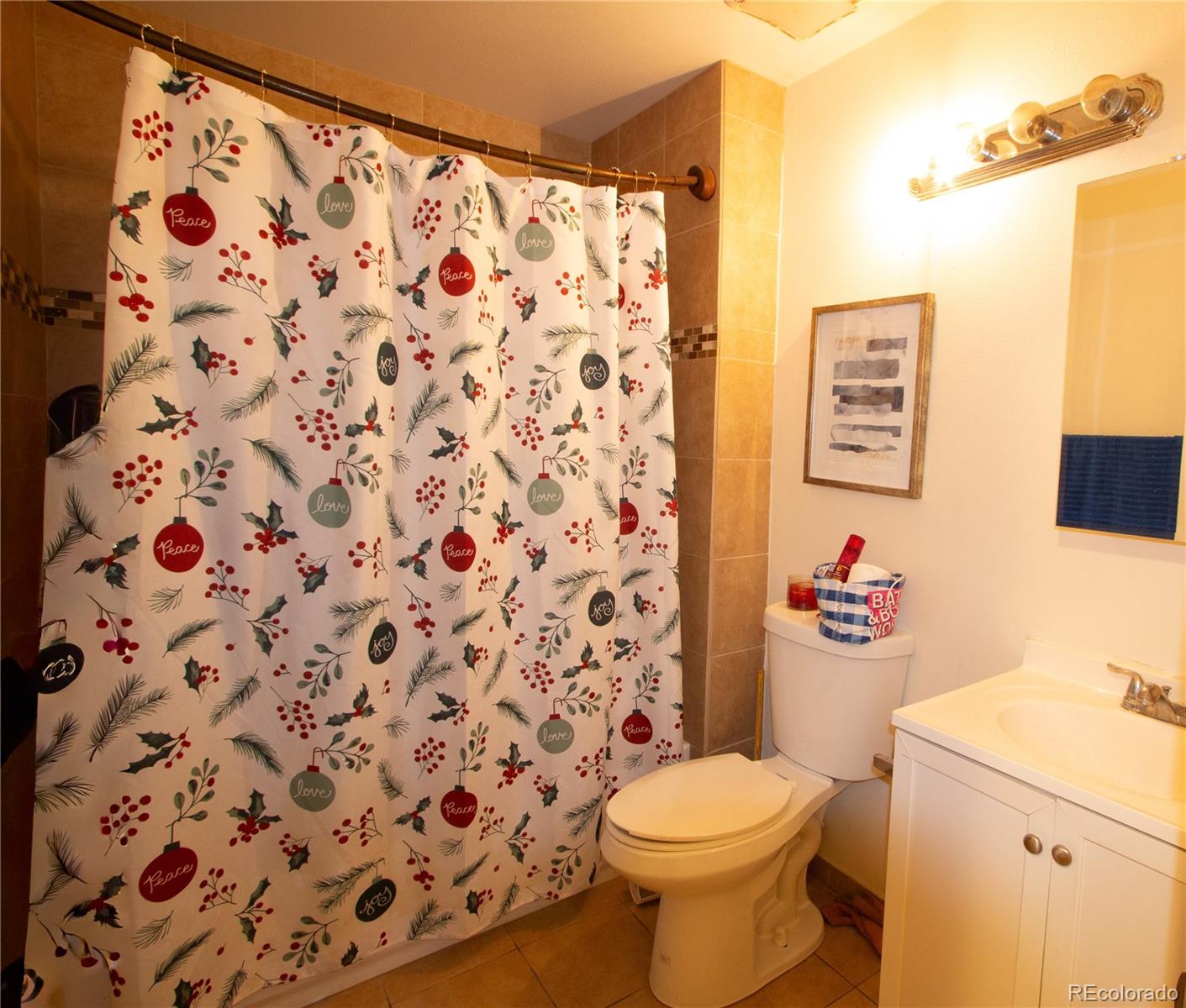 MLS Image #5 for 4482  fairplay way,denver, Colorado