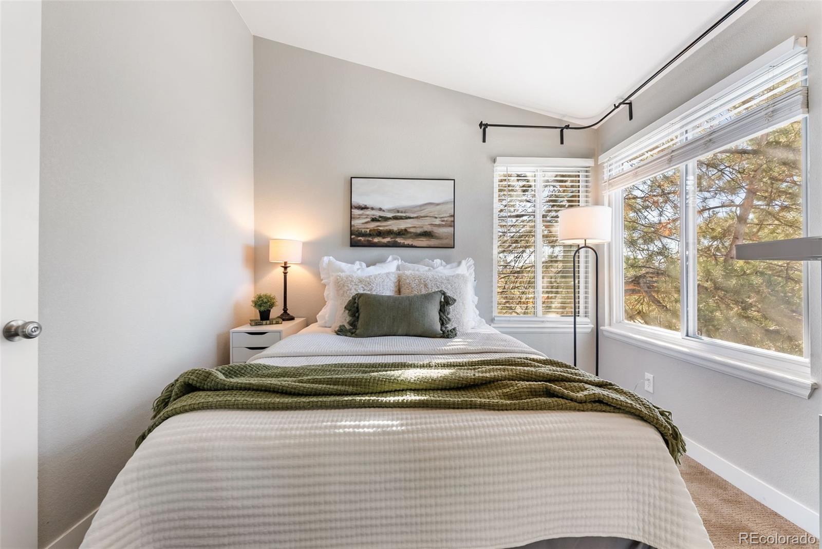 MLS Image #15 for 842  summer drive ,highlands ranch, Colorado
