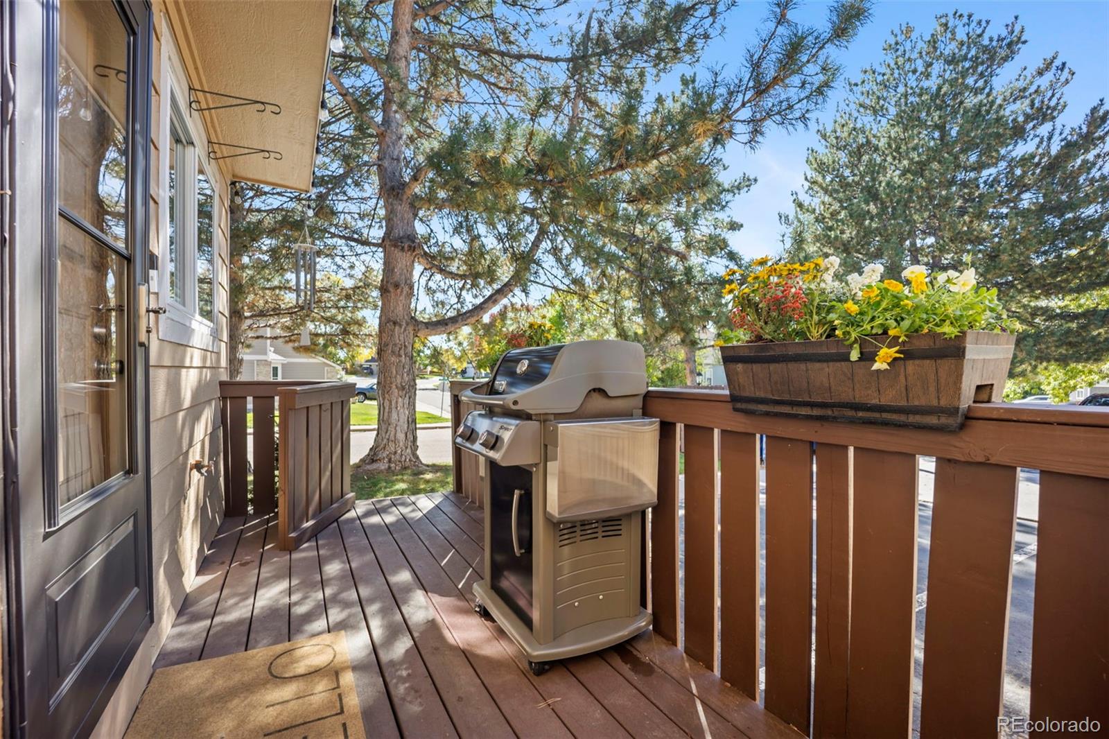 MLS Image #19 for 842  summer drive ,highlands ranch, Colorado