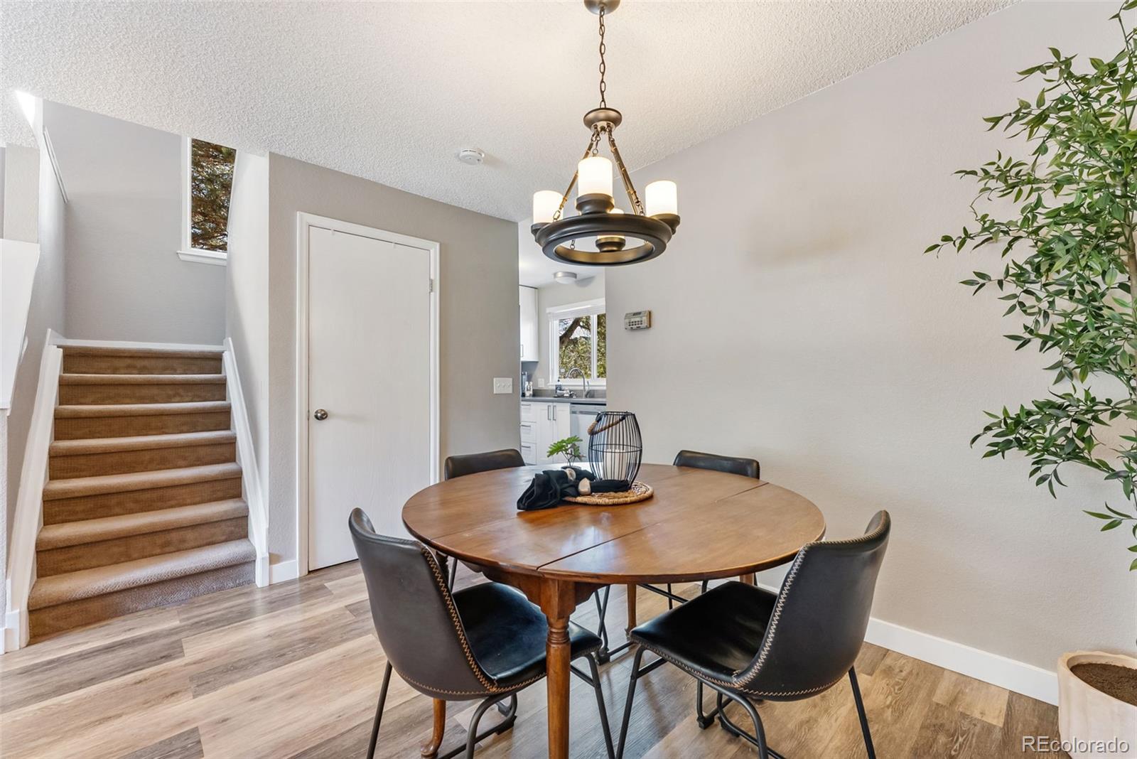 MLS Image #6 for 842  summer drive ,highlands ranch, Colorado