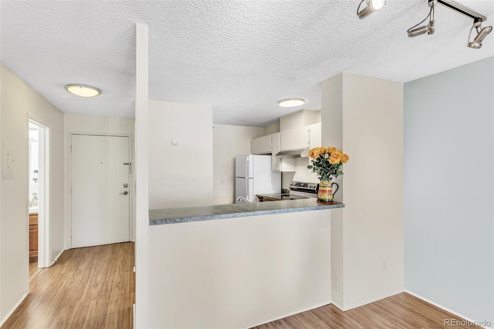 MLS Image #8 for 2880 s locust street 300n,denver, Colorado