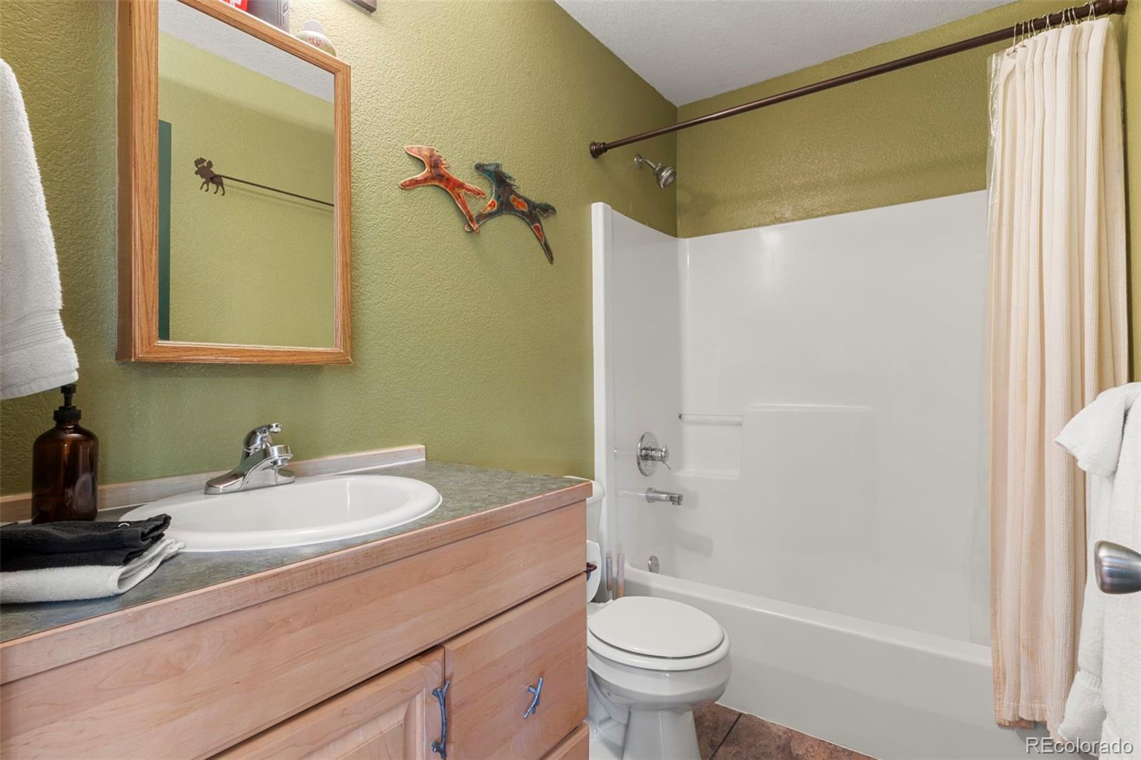 MLS Image #10 for 114  hall road,bailey, Colorado