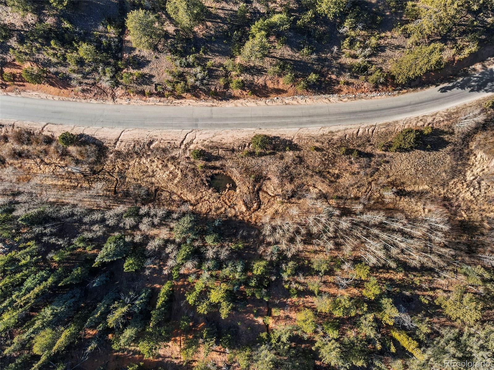 MLS Image #18 for 114  hall road,bailey, Colorado
