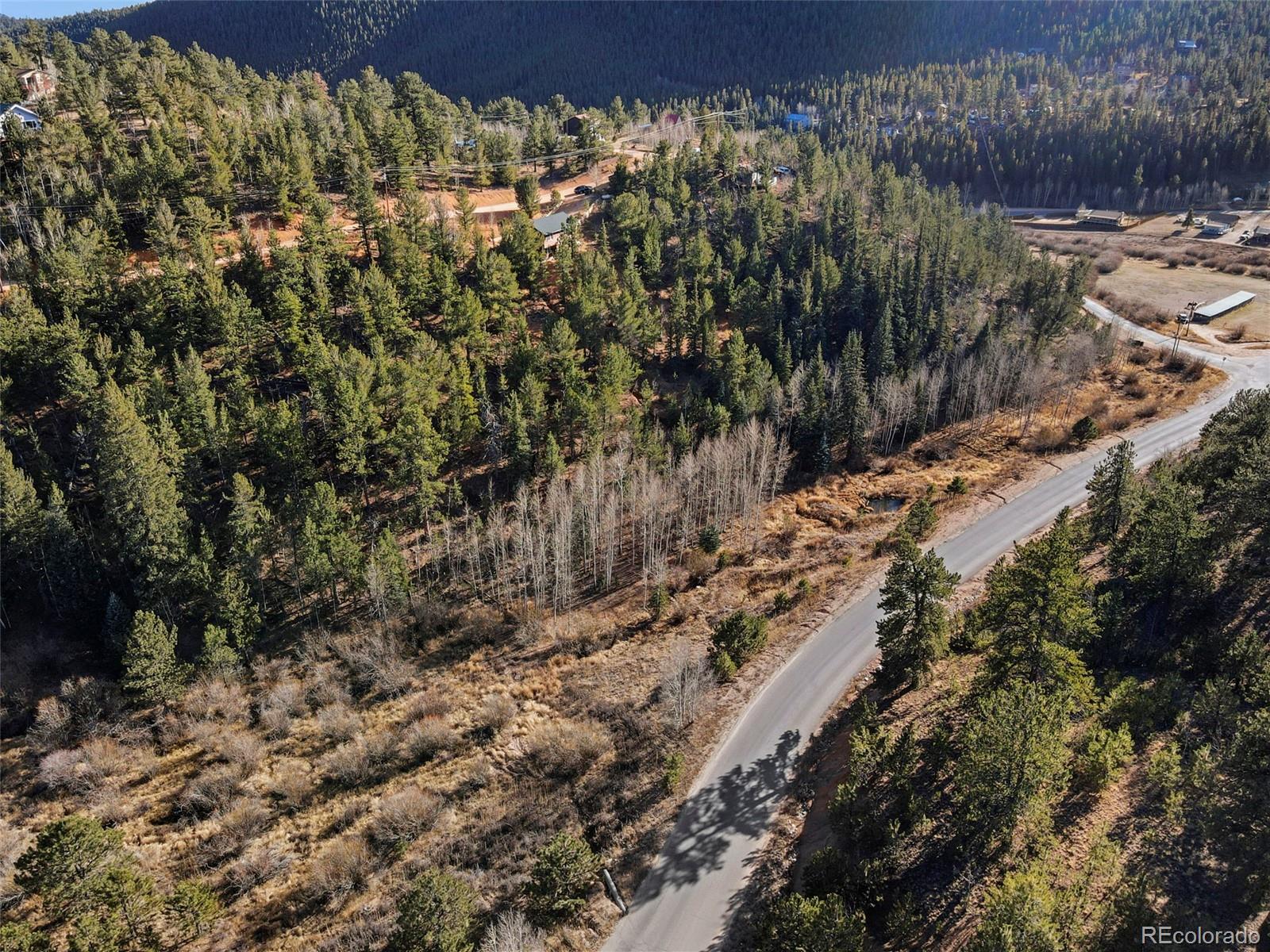 MLS Image #19 for 114  hall road,bailey, Colorado