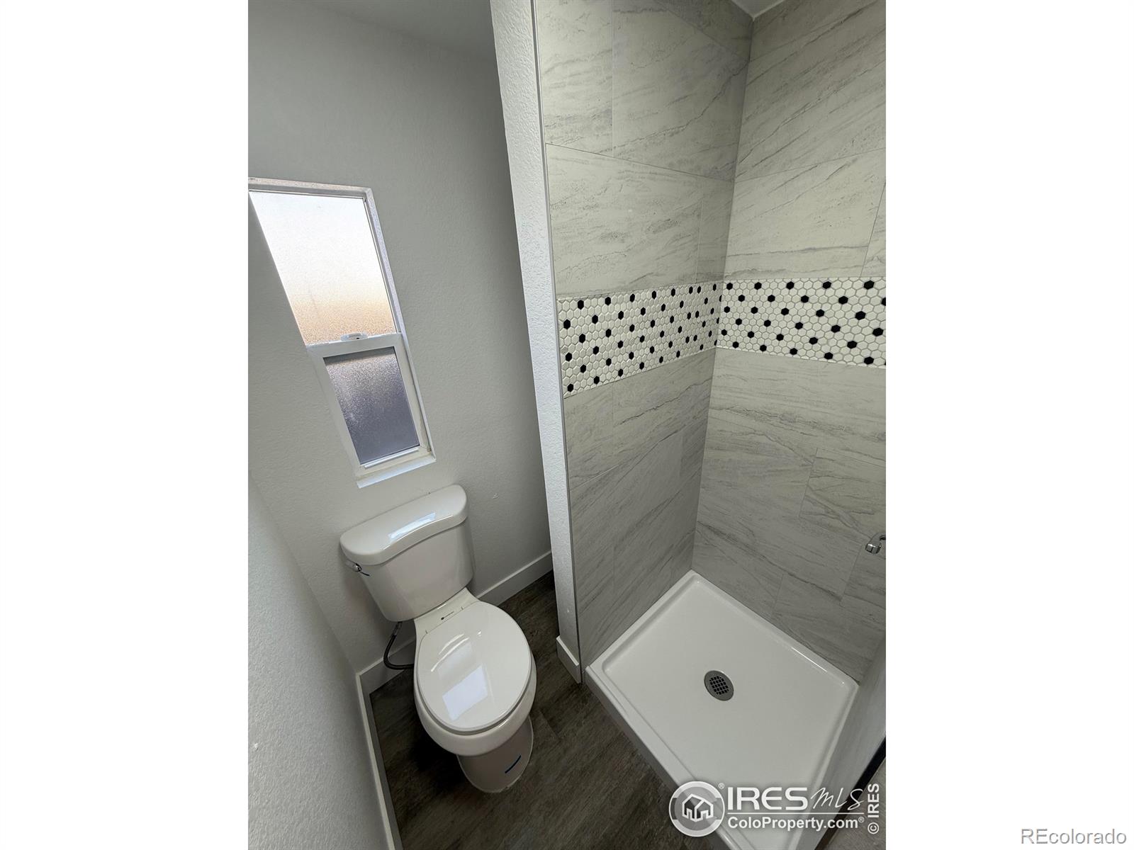 MLS Image #10 for 1421  macpool street,dacono, Colorado