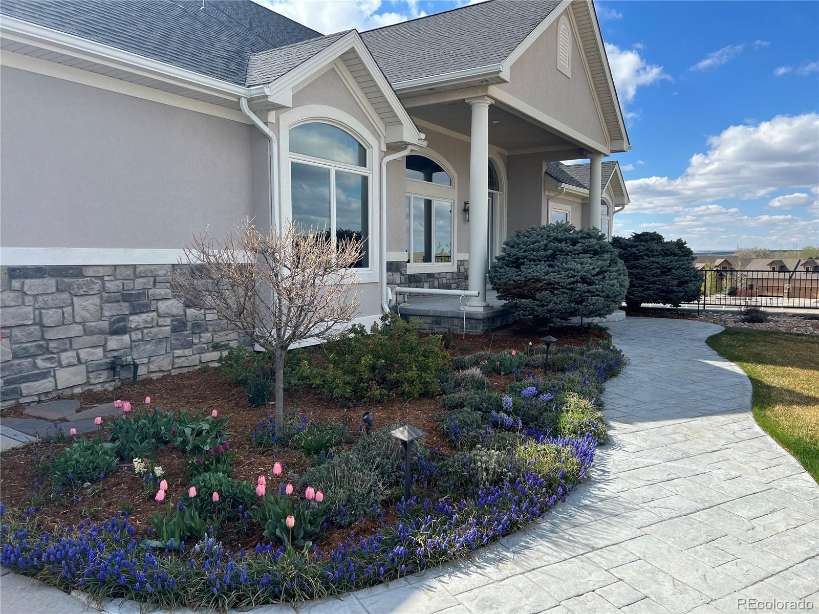 MLS Image #49 for 39828  hilltop circle,severance, Colorado