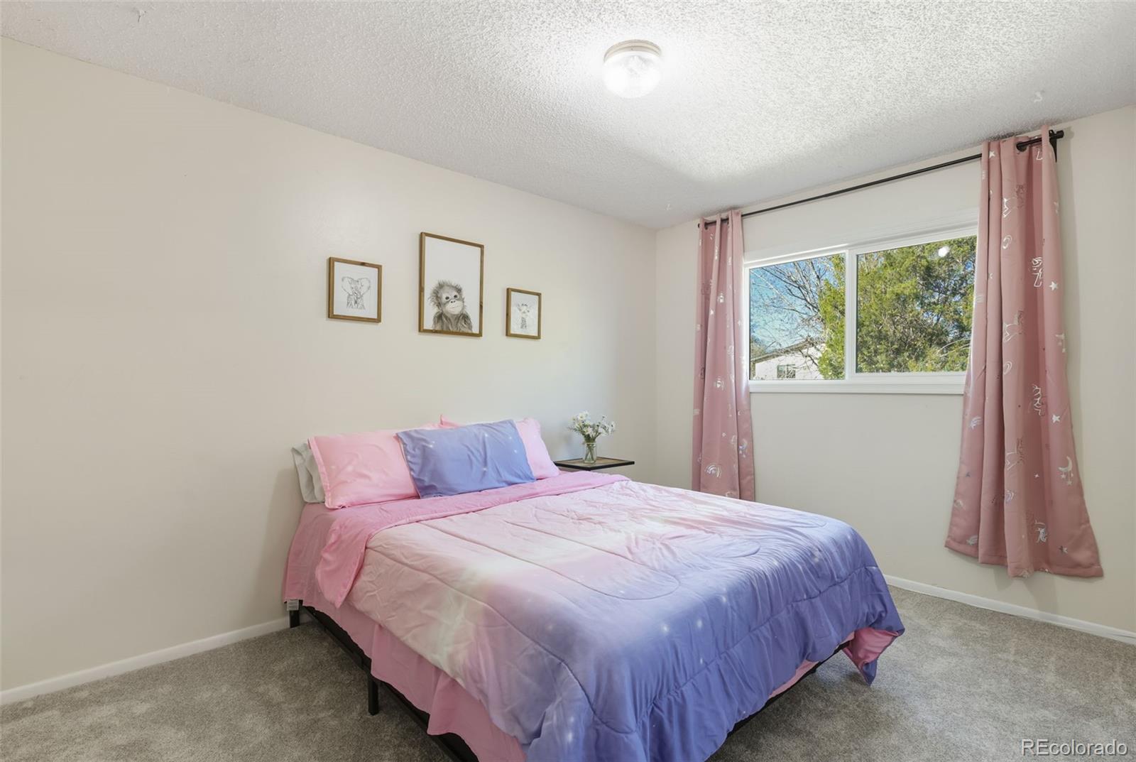 MLS Image #12 for 583  calle conejos ,fountain, Colorado