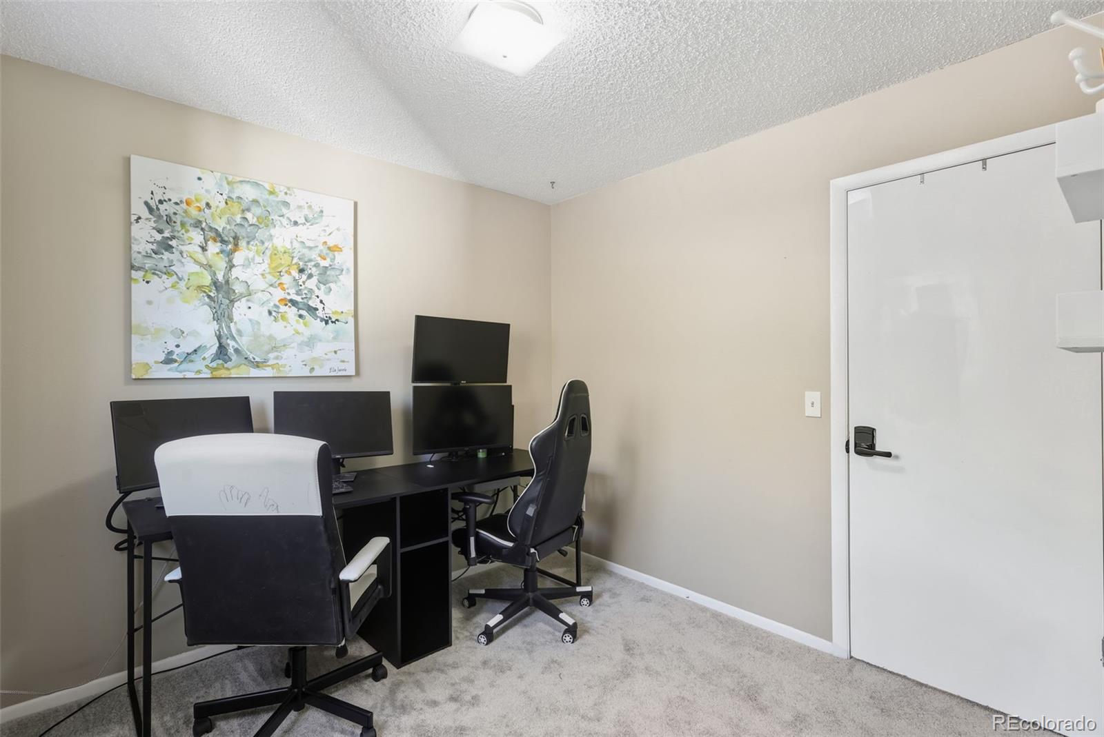 MLS Image #15 for 583  calle conejos ,fountain, Colorado