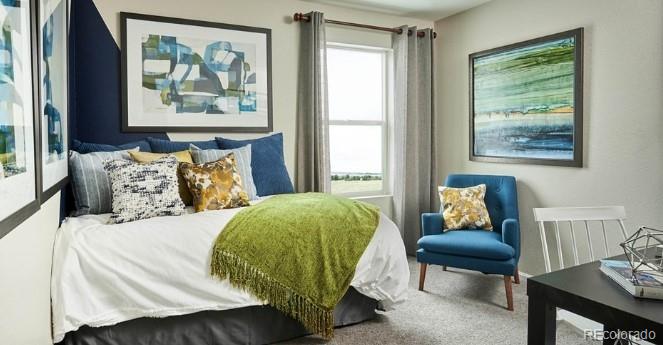 MLS Image #18 for 1193  prospect aly ,brighton, Colorado