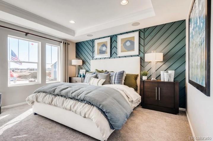 MLS Image #8 for 1193  prospect aly ,brighton, Colorado
