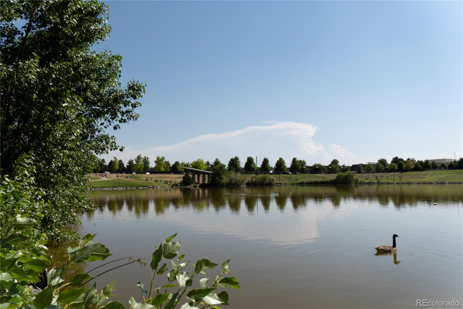 MLS Image #43 for 4636 n sicily street,aurora, Colorado
