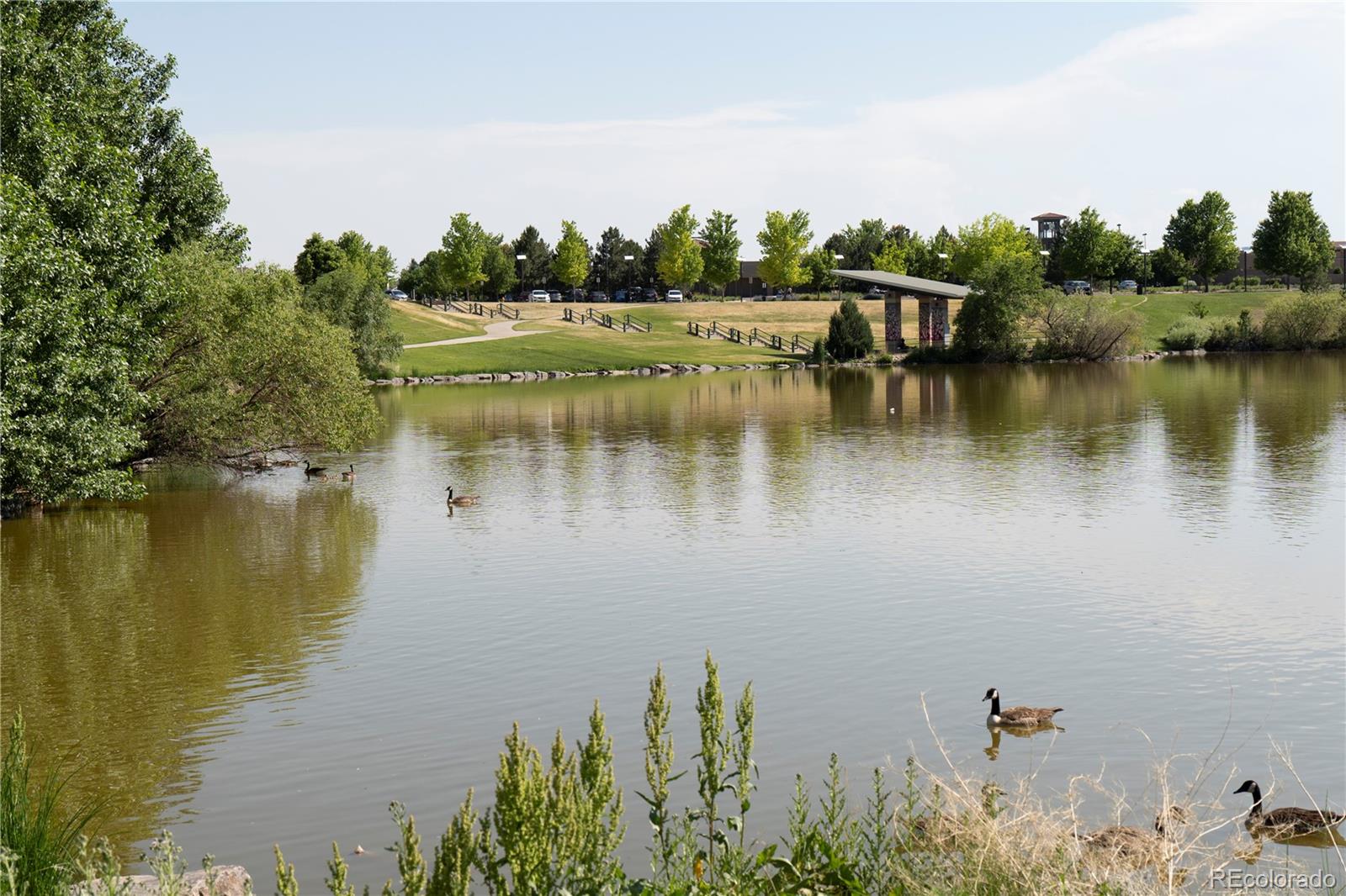 MLS Image #39 for 22333 e 46th avenue,aurora, Colorado