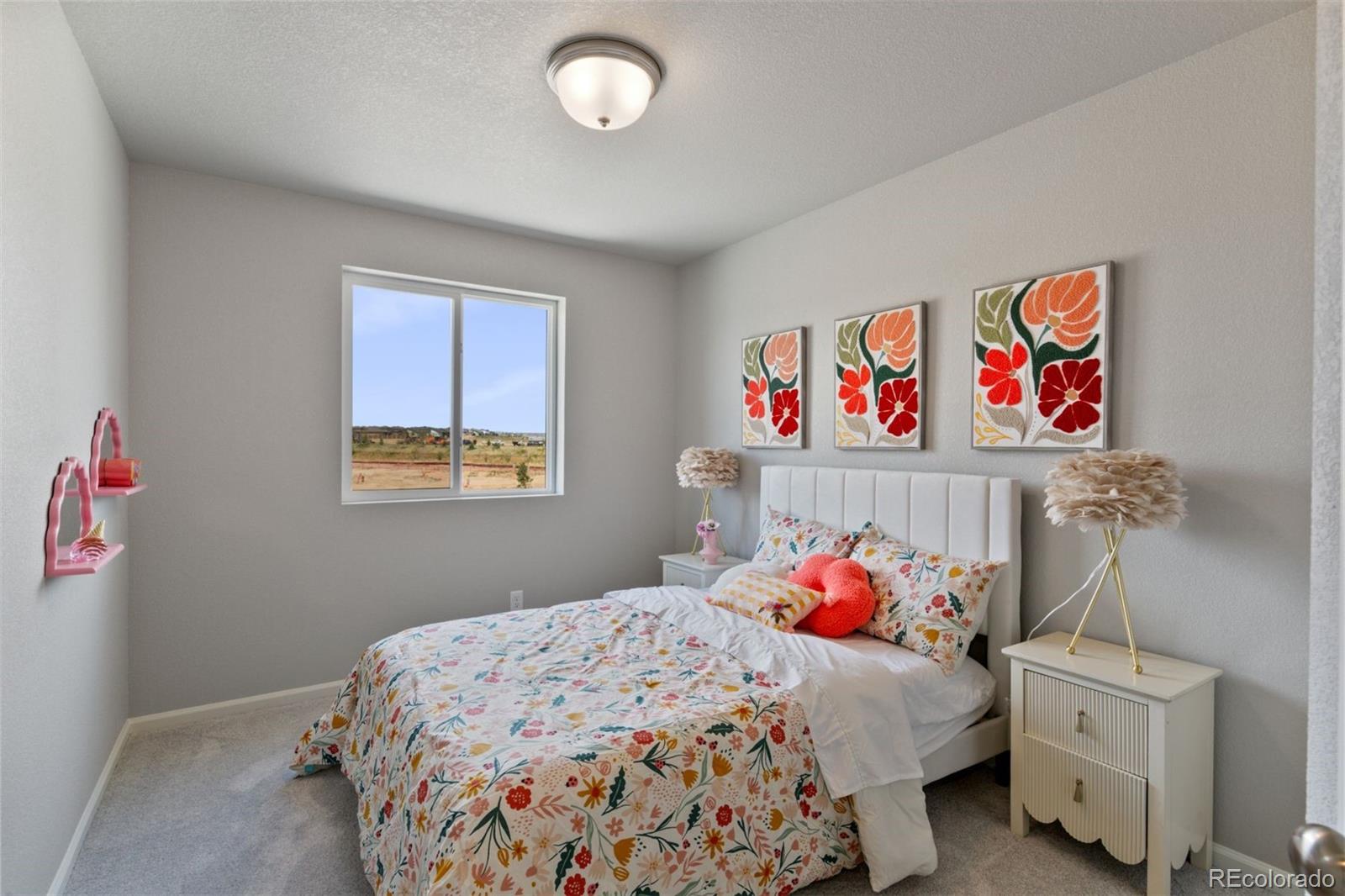 MLS Image #19 for 22331 e 46th avenue,aurora, Colorado