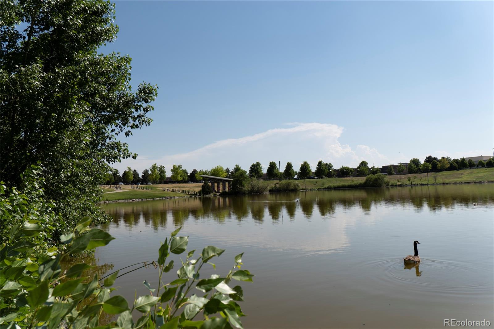 MLS Image #40 for 22331 e 46th avenue,aurora, Colorado