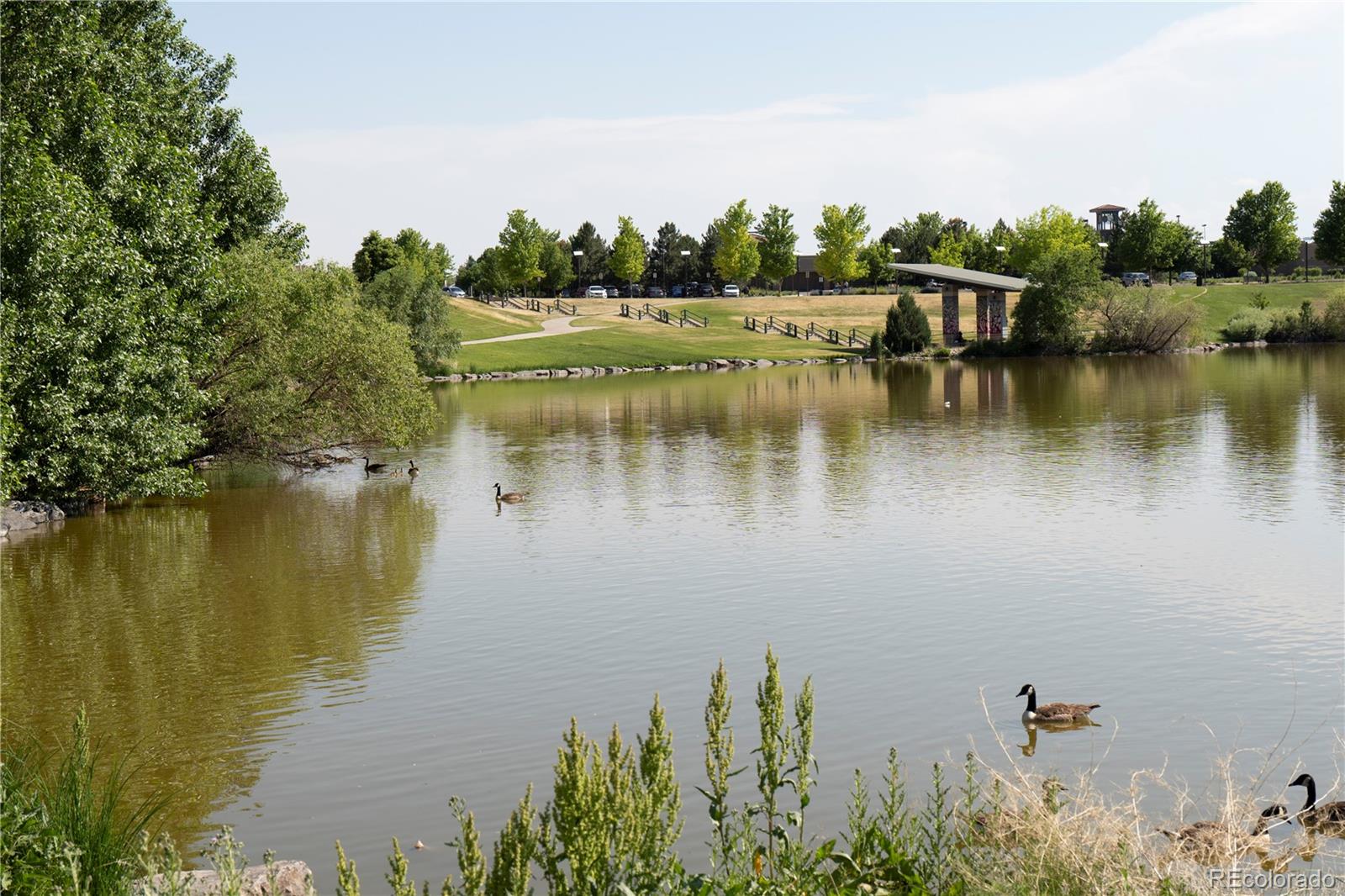 MLS Image #43 for 22331 e 46th avenue,aurora, Colorado