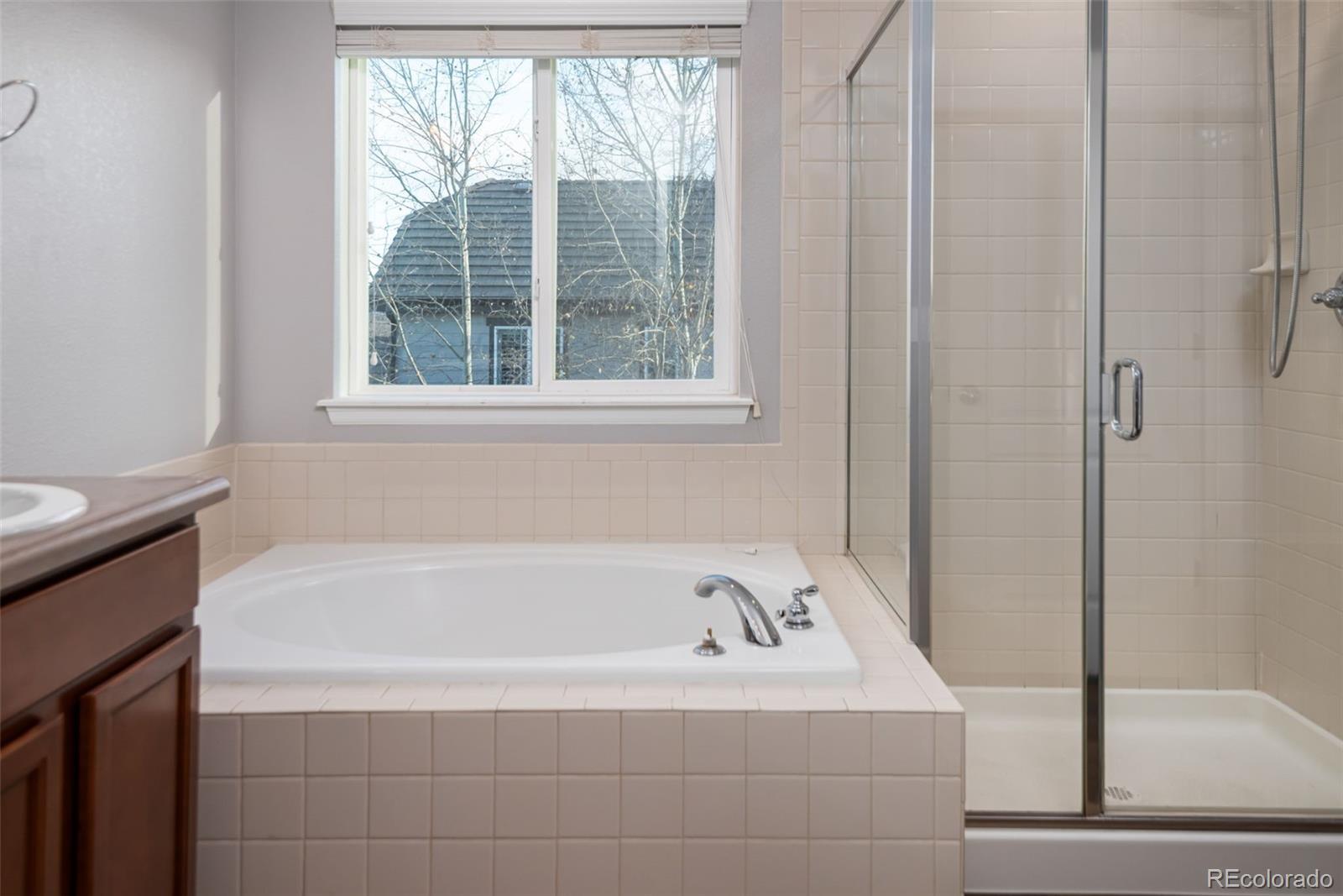 MLS Image #14 for 8172  el jebel loop,castle rock, Colorado