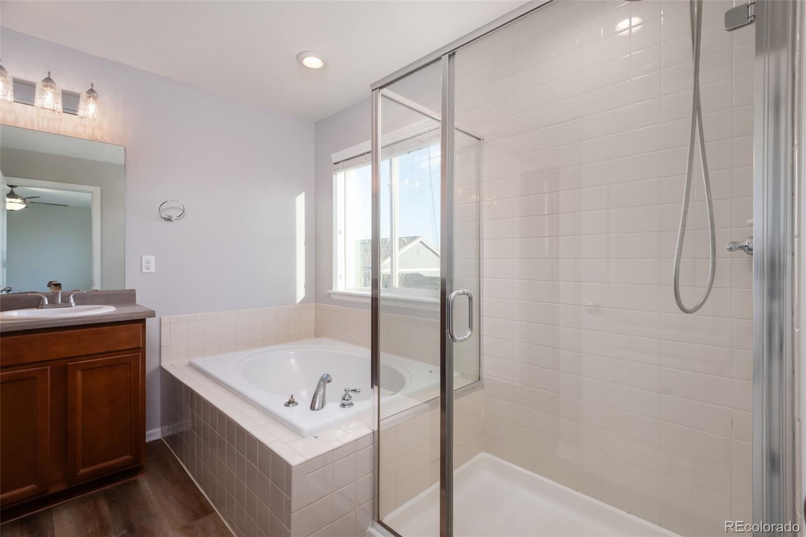 MLS Image #15 for 8172  el jebel loop,castle rock, Colorado